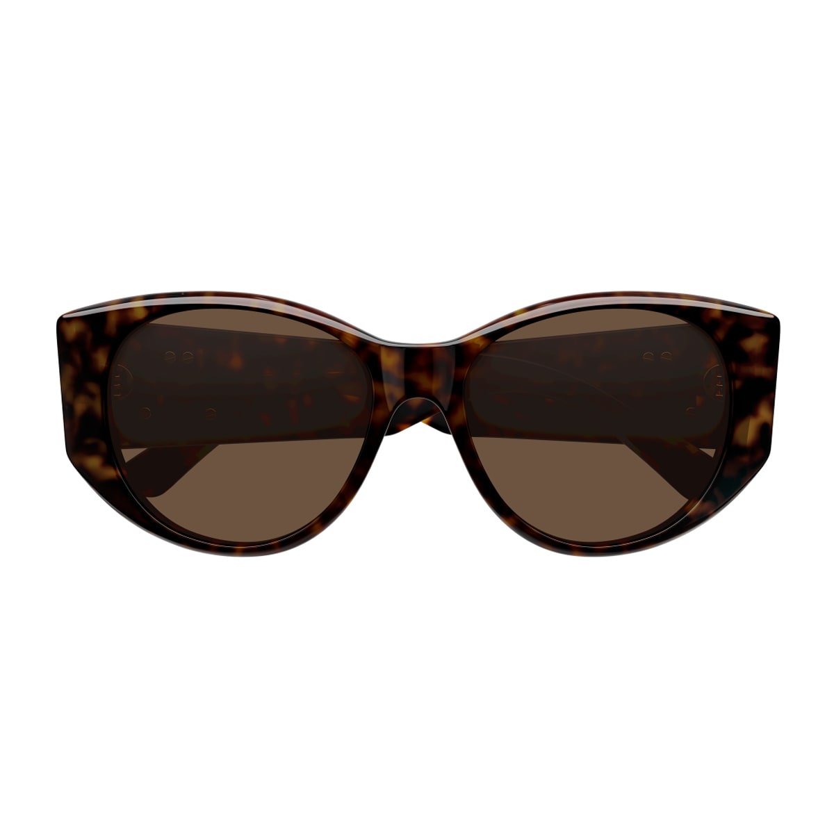 Balenciaga Bb0455s Linea Extreme 002 Havana Brown Sunglasses In Brown