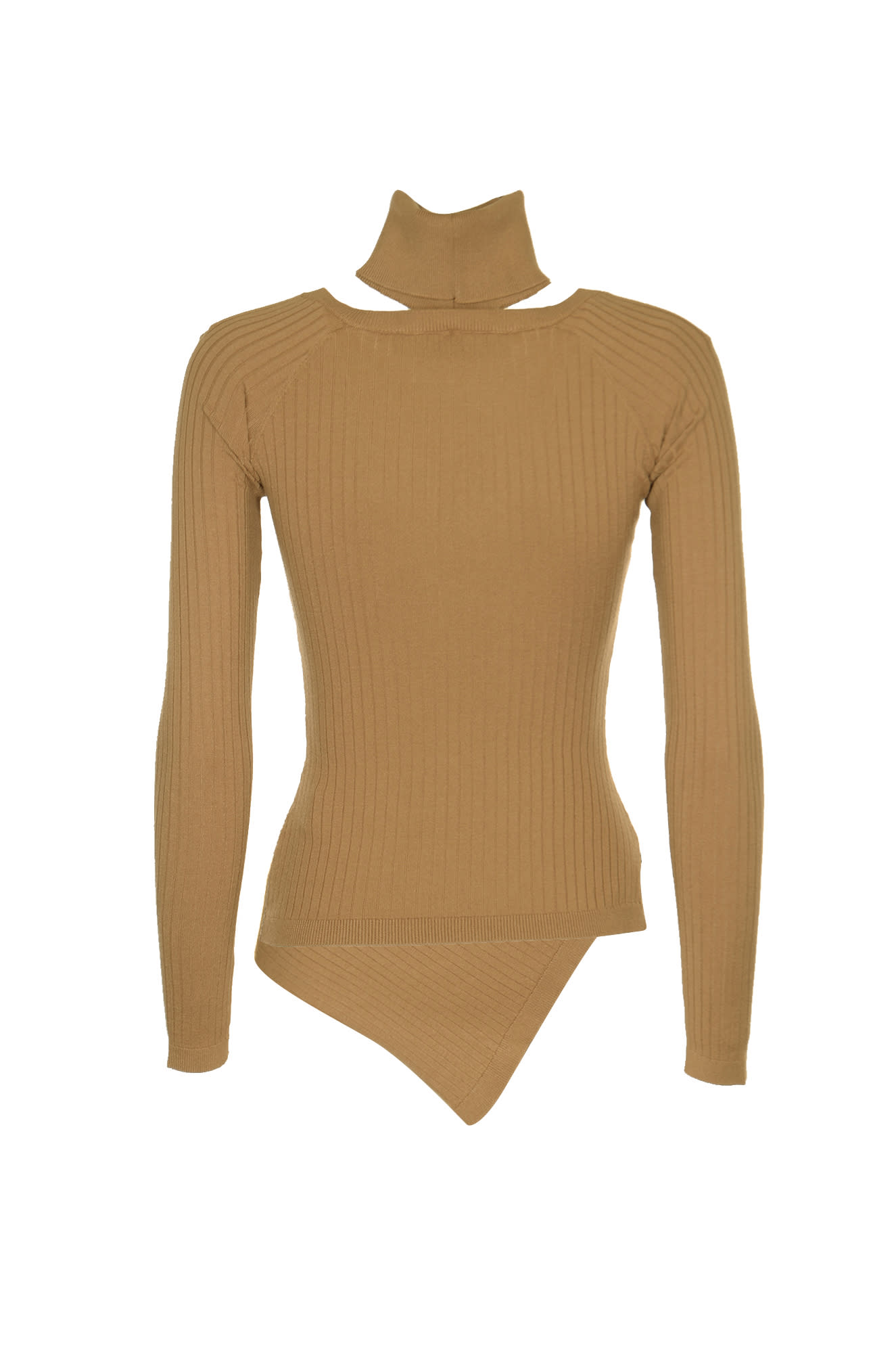 Shop Federica Tosi Ribbed Bodysuit In Brown