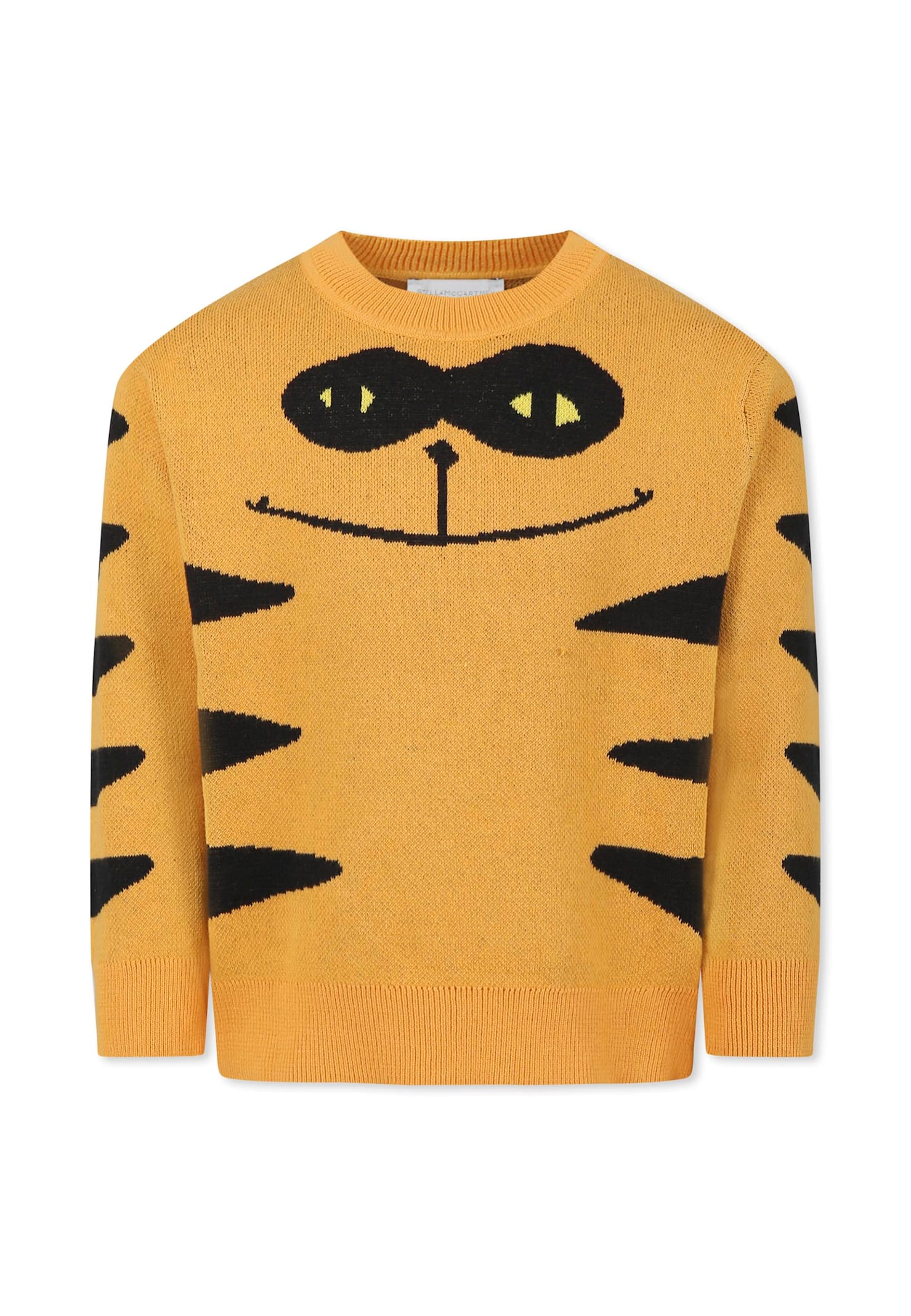 Stella Mccartney Orange Sweater For Boy With Cat In Orange