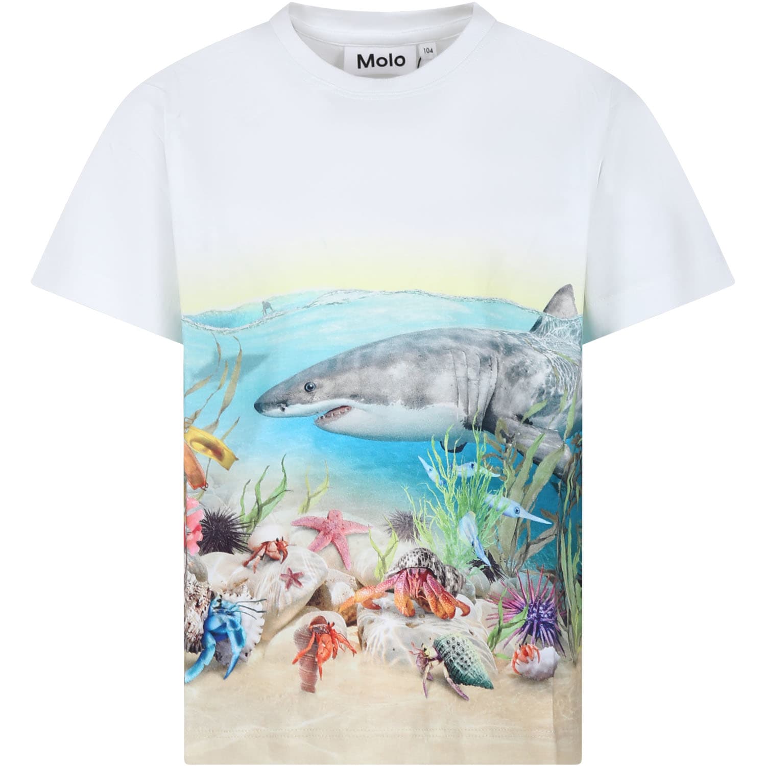 Molo Kids' White T-shirt For Boy With Shark Print
