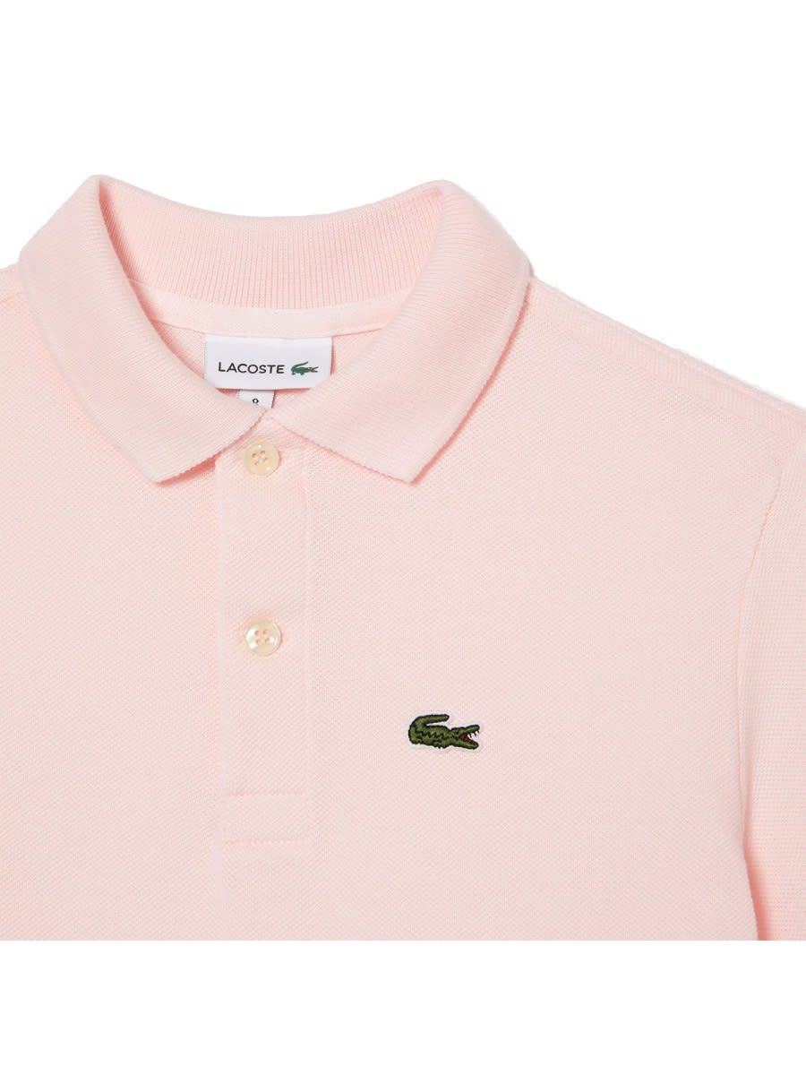 Shop Lacoste Polo Logo