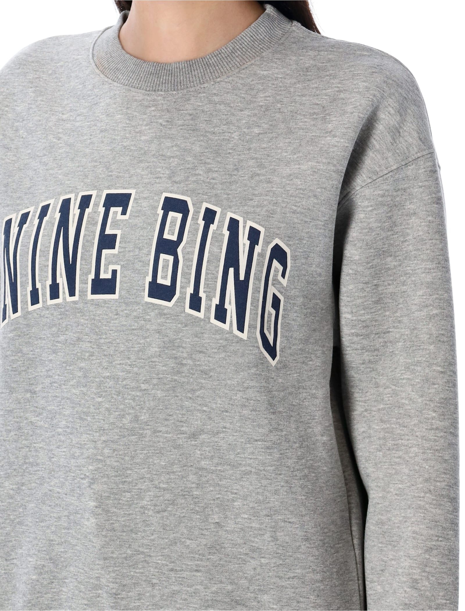 Anine Bing Spencer Printed Cotton-blend Jersey Sweatshirt In Gray