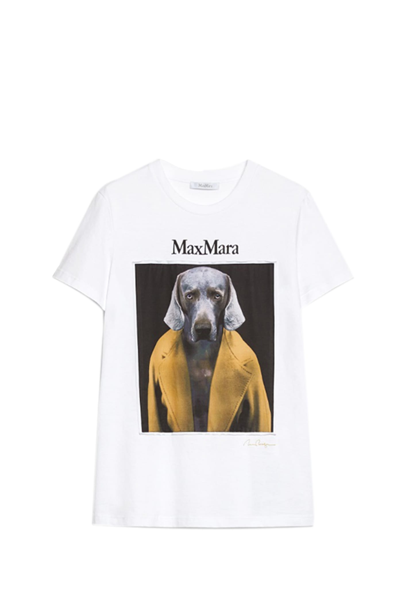 Shop Max Mara Cipria T-shirt In White