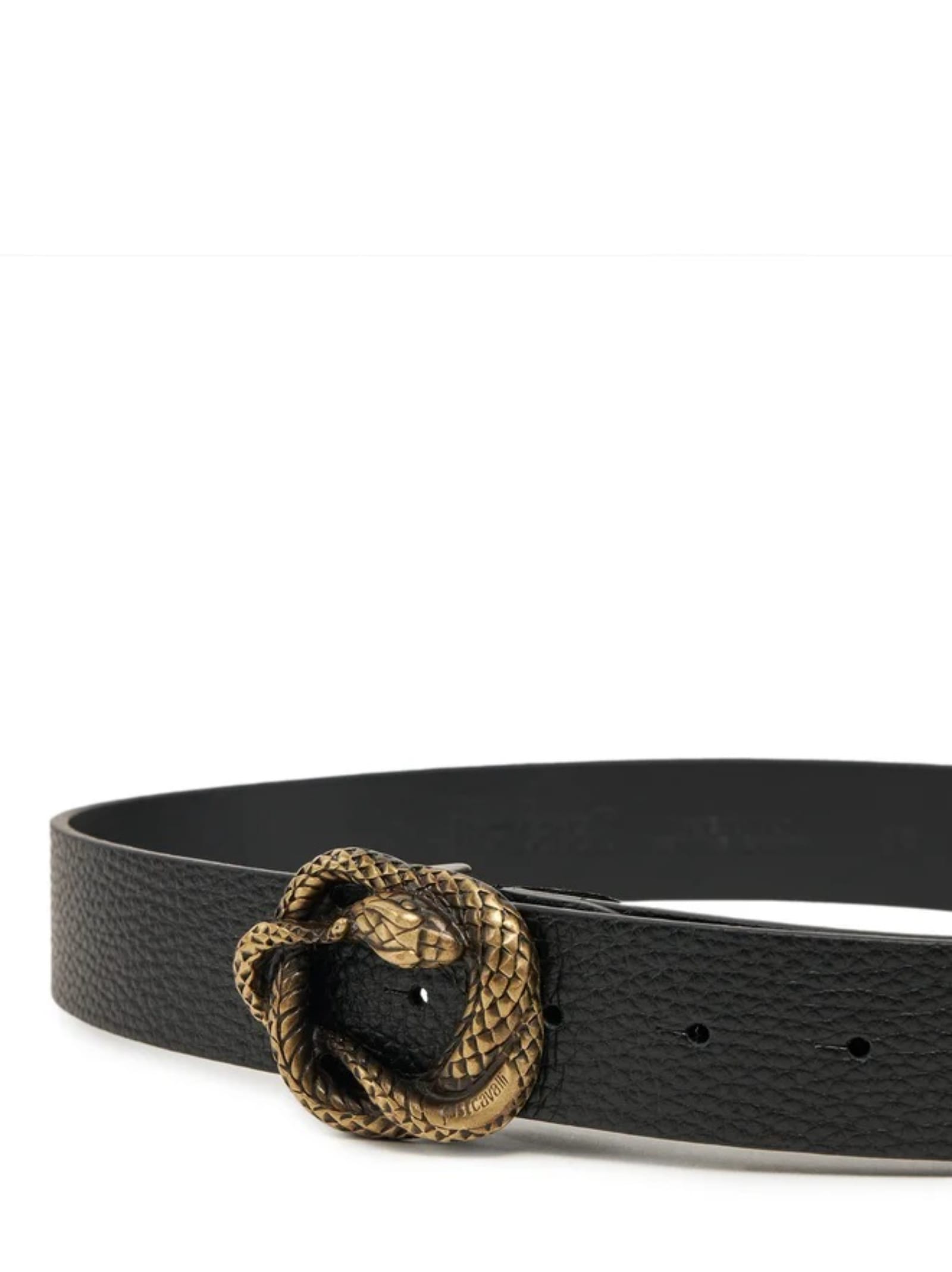 Just Cavalli Snake-buckle Belt In Black