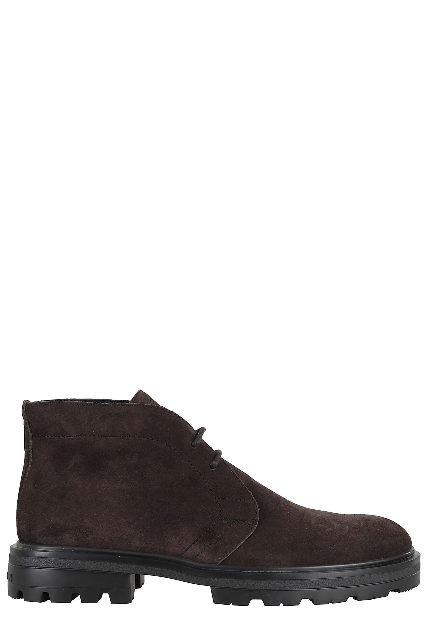 Polacchini H673