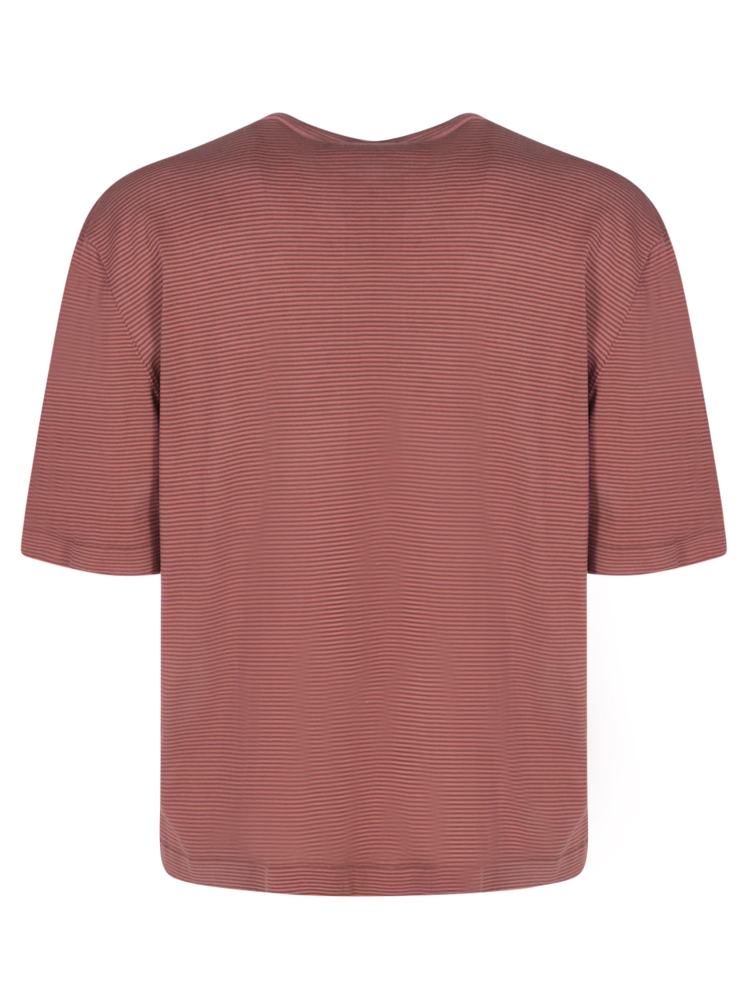 Lardini Cotton T-shirt With Round Neck And Short Sleeves In Brown