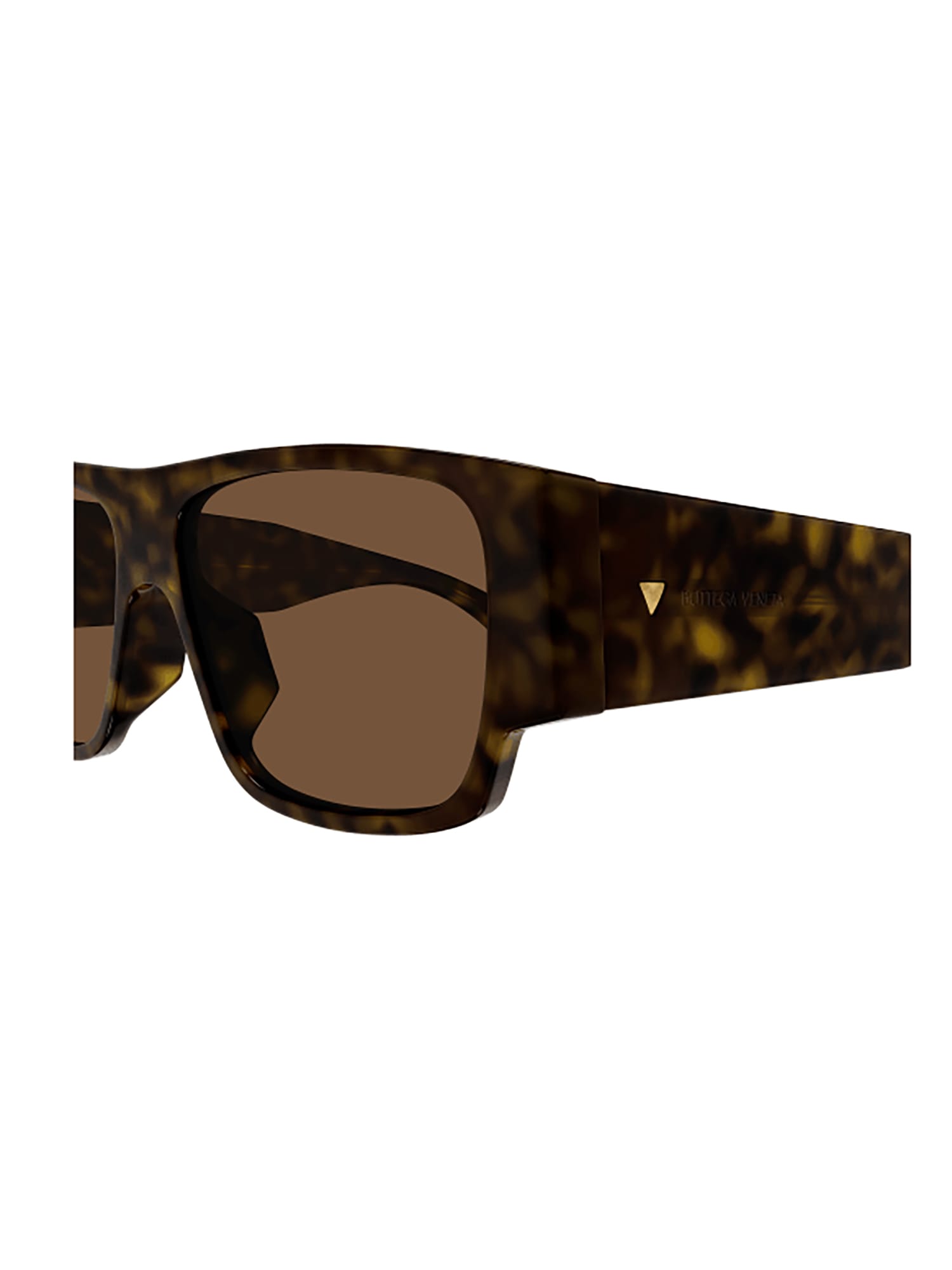 Shop Bottega Veneta Bv1286s Sunglasses In Havana Havana Brown