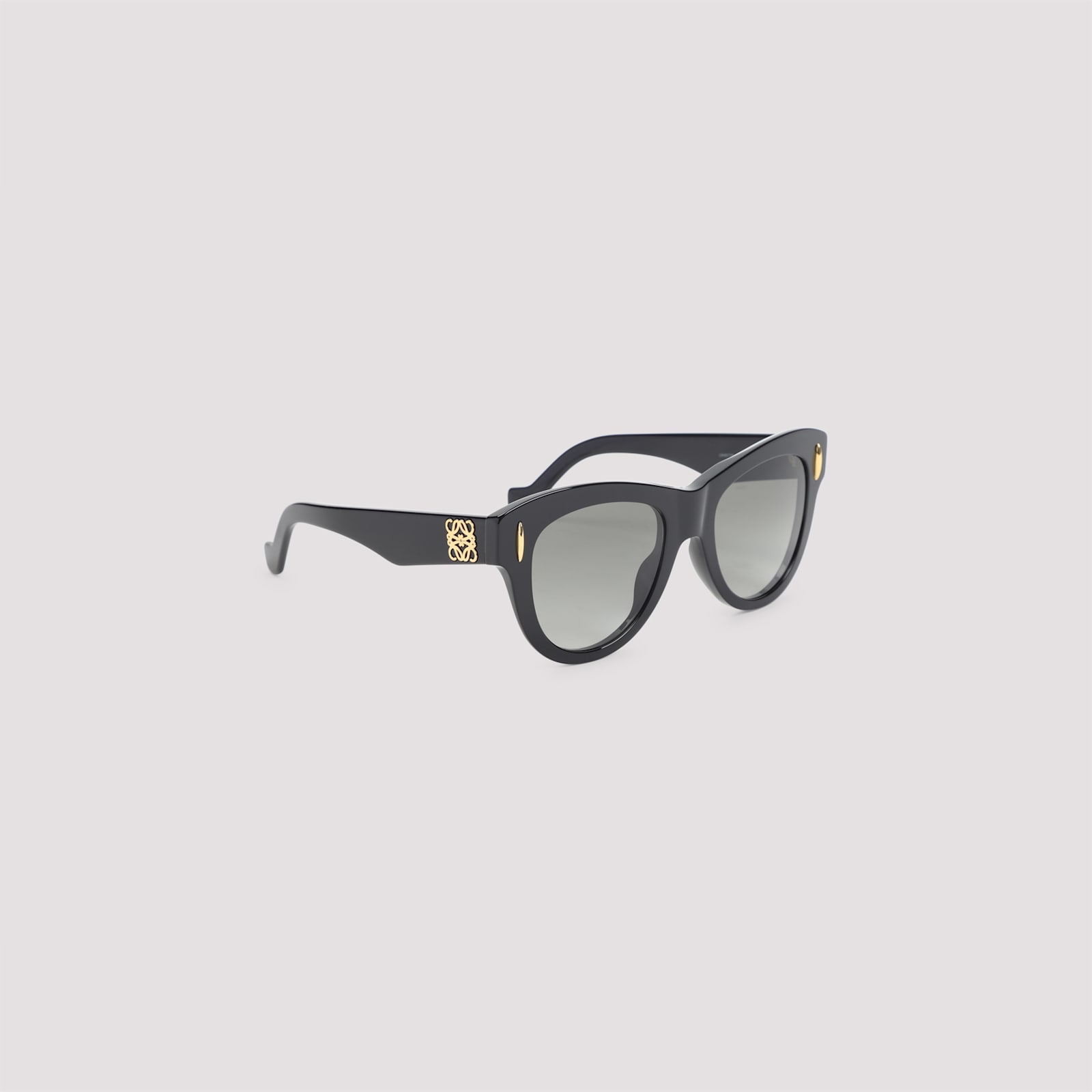 Loewe Vintage Screen Sunglasses In Black