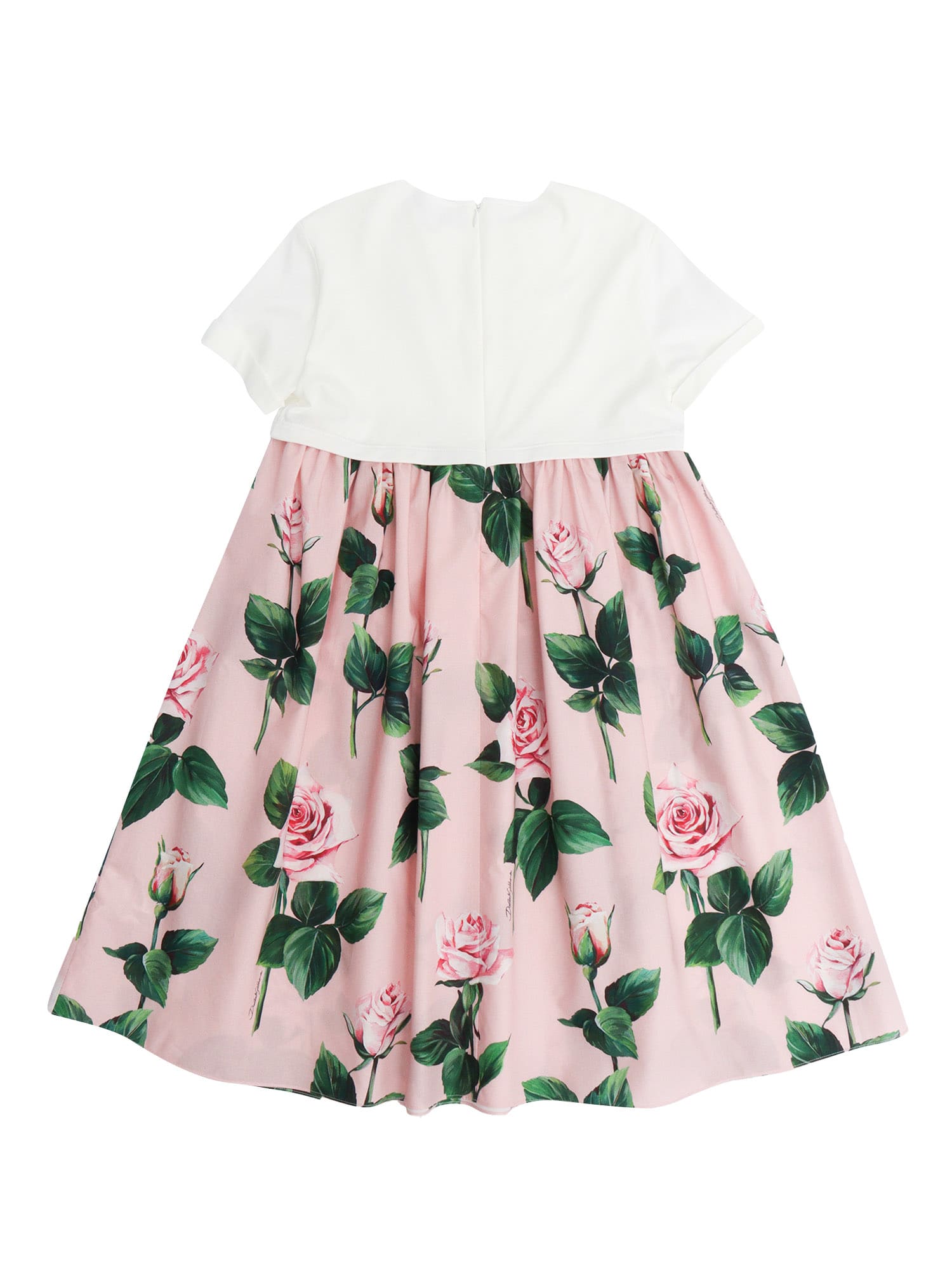 Dolce & Gabbana Printed Dress In Multicolor