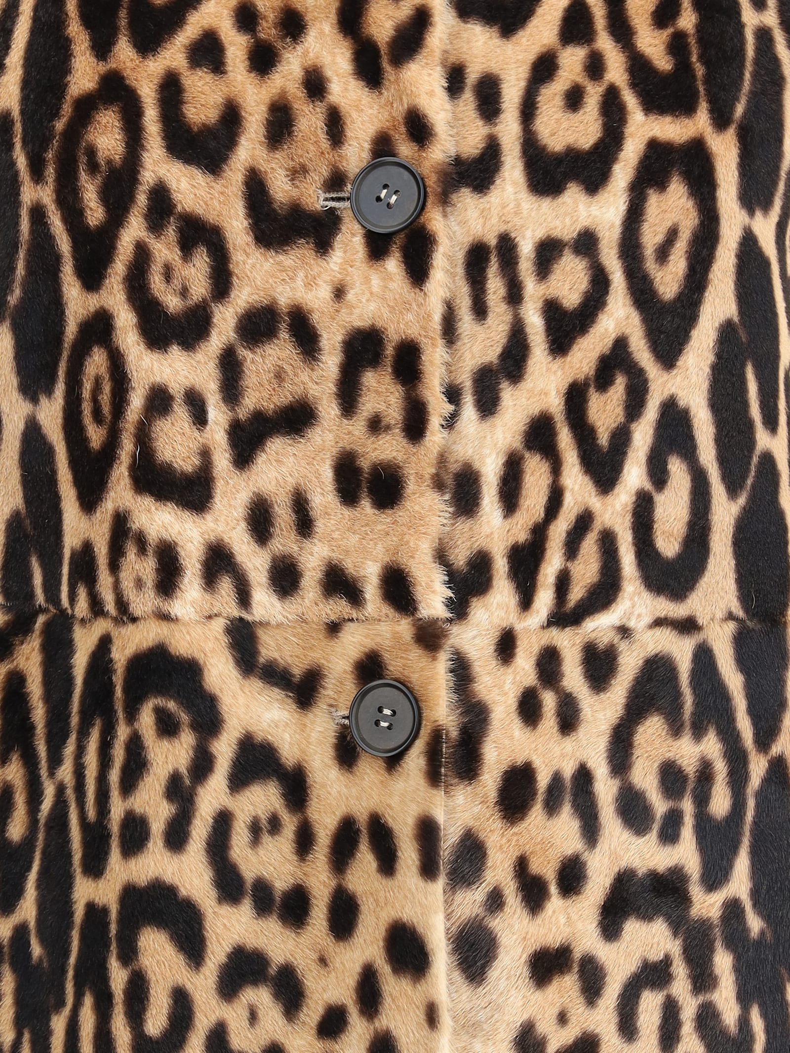 P.a.r.o.s.h Leopard-print Coat In Animal Print
