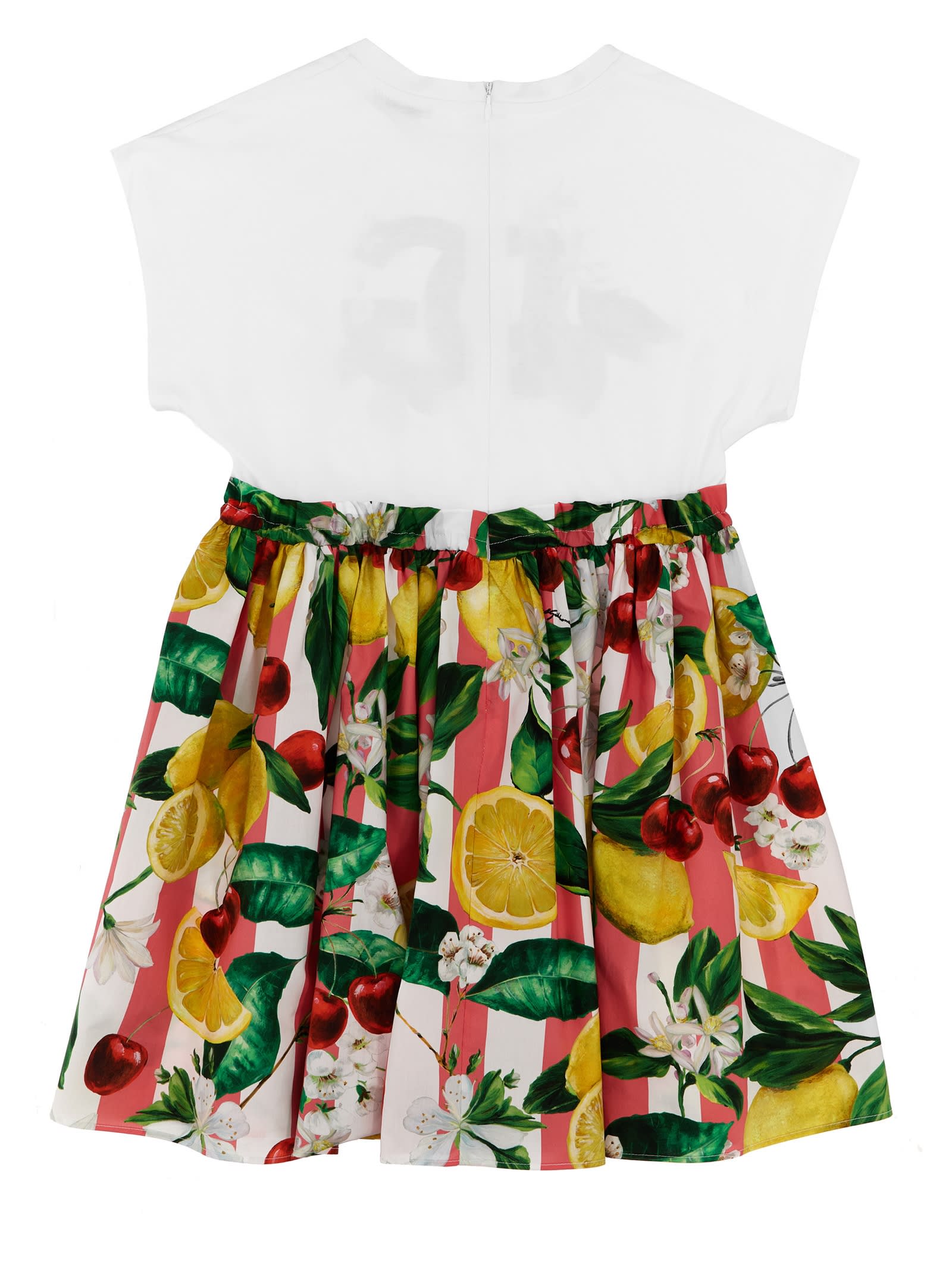 Shop Dolce & Gabbana Fruit Print Dress In Variante