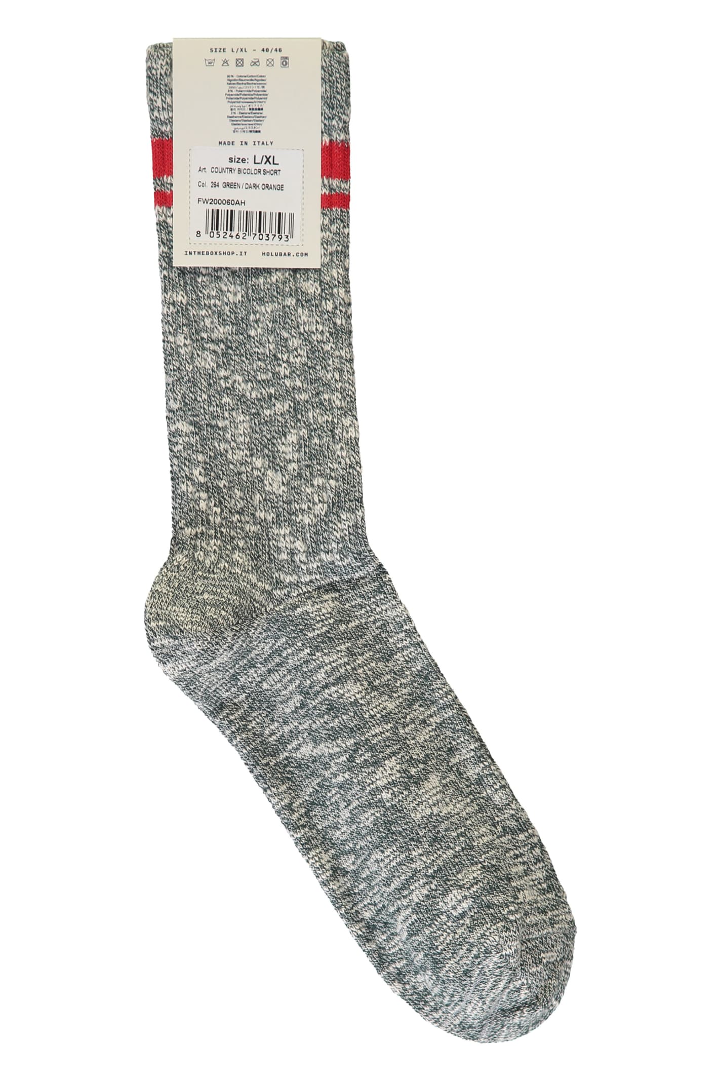 Shop Holubar Cotton Socks In Green