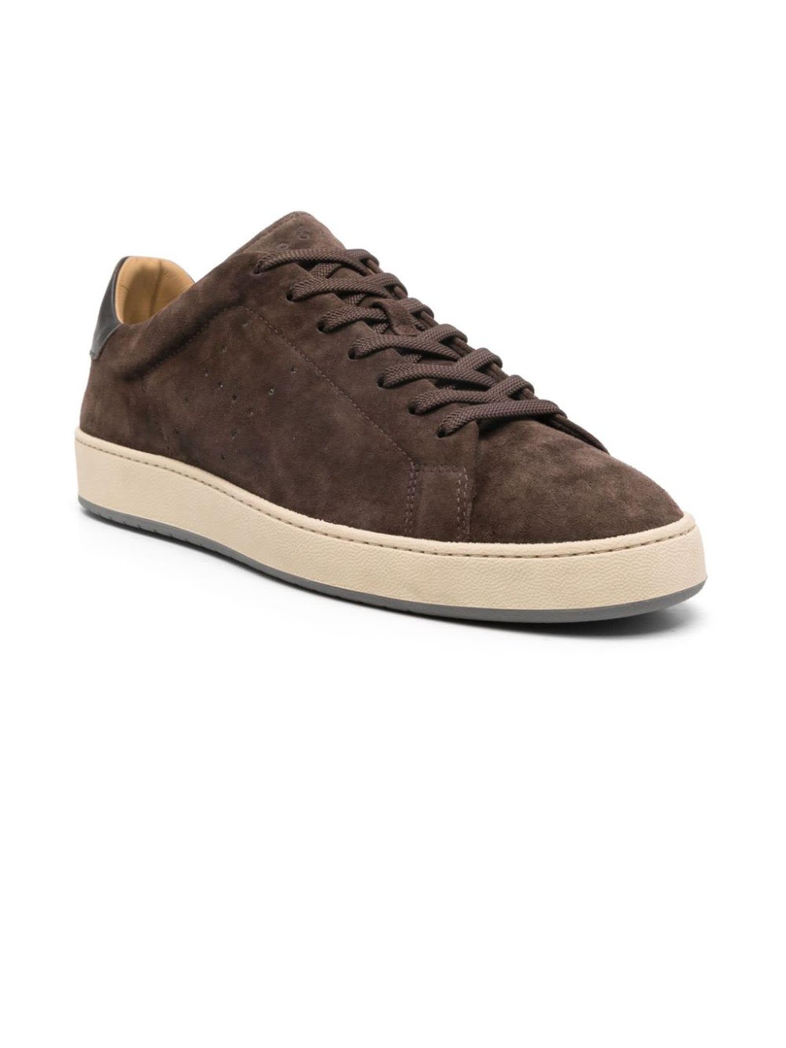 Shop Hogan Sneakers Brown