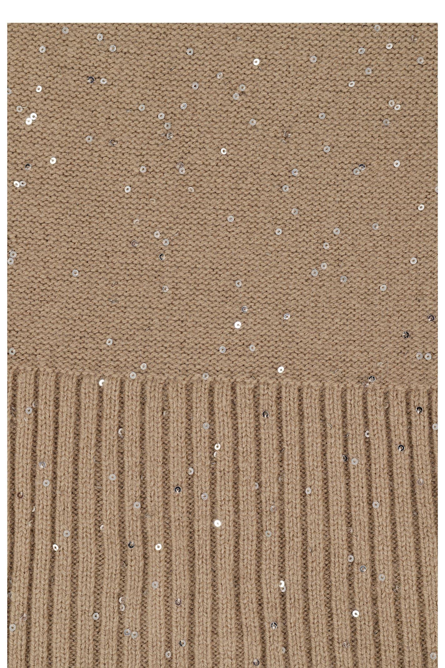 Antonelli Sequin-embellished Scarf In Brown