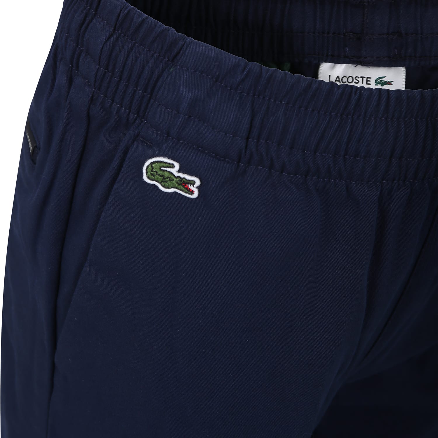 Shop Lacoste Blue Trousers For Boy With Crocodile