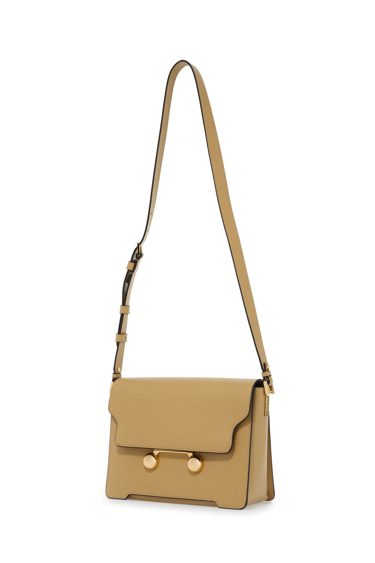 Shop Marni Medium Trunkaroo Shoulder Bag In Nomad (beige)