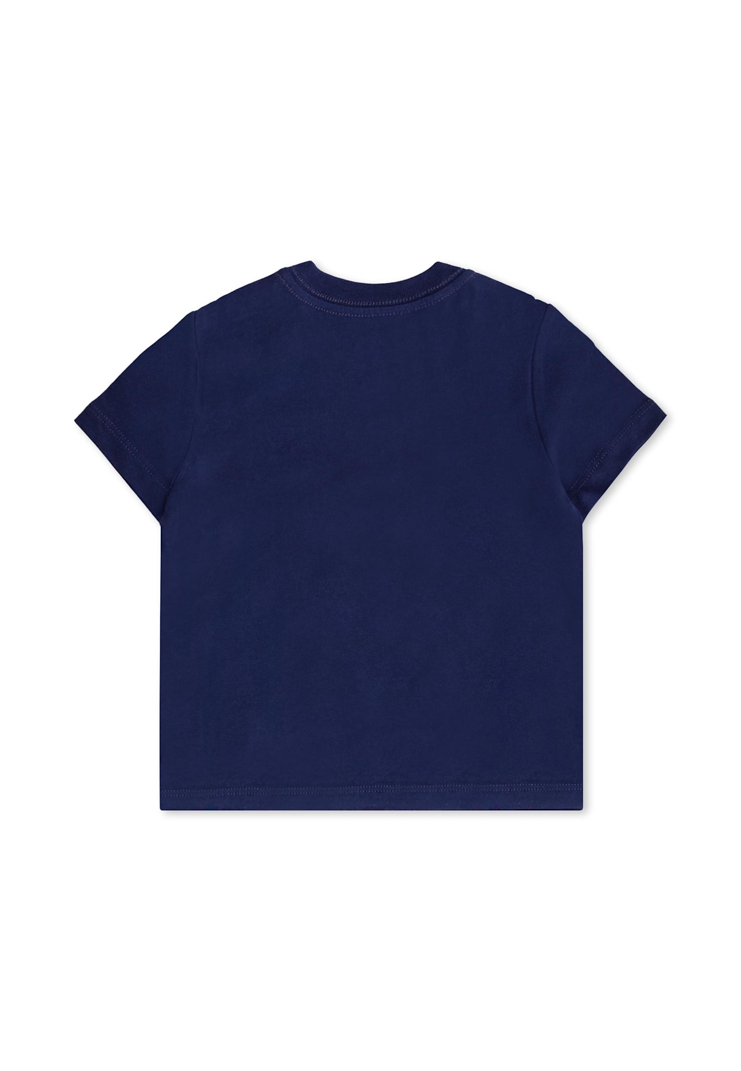 Ralph Lauren Blue T-shirt For Baby Boy With Polo Bear In Brown
