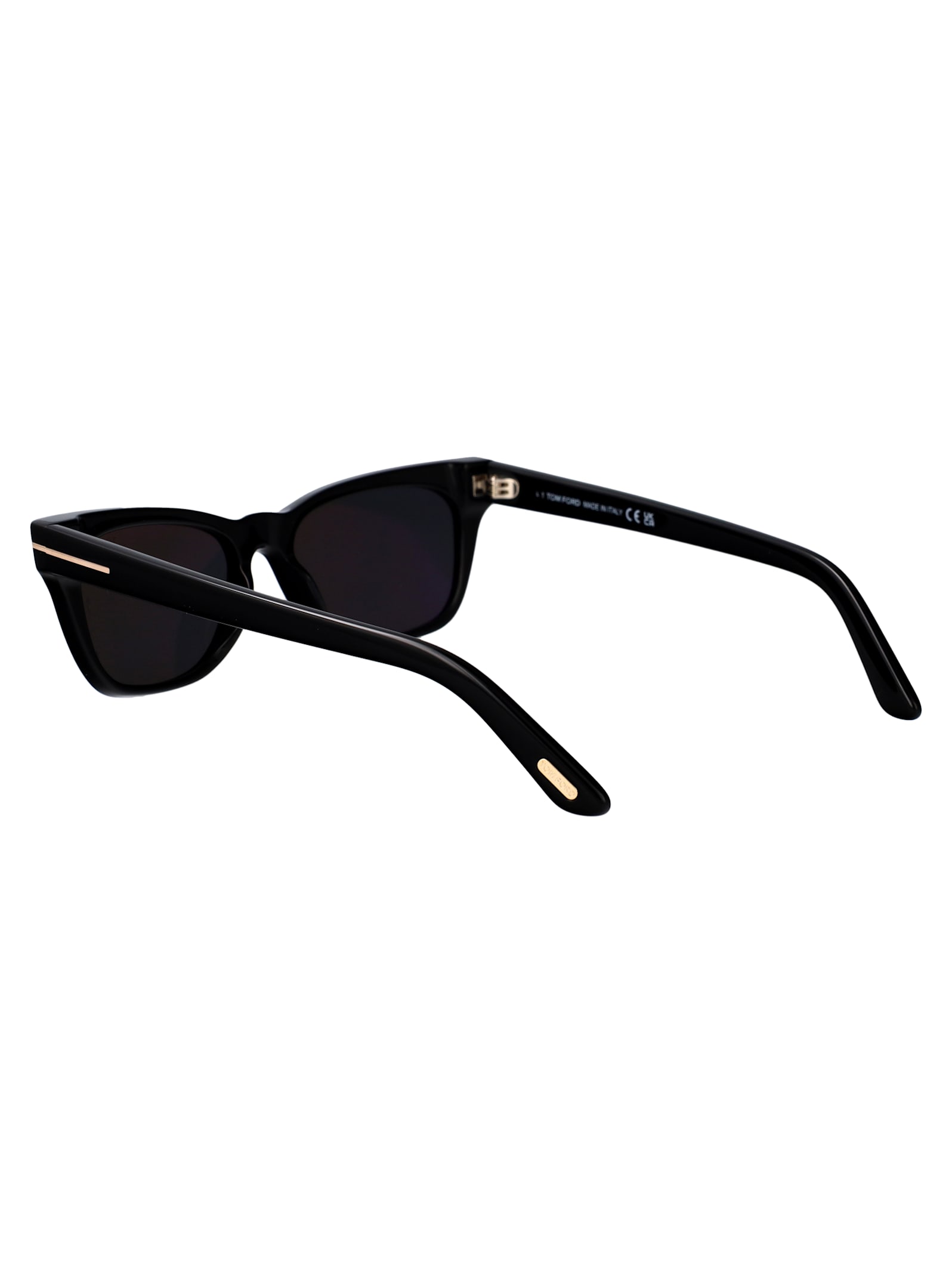 Tom Ford Penn-02 Sunglasses In Black