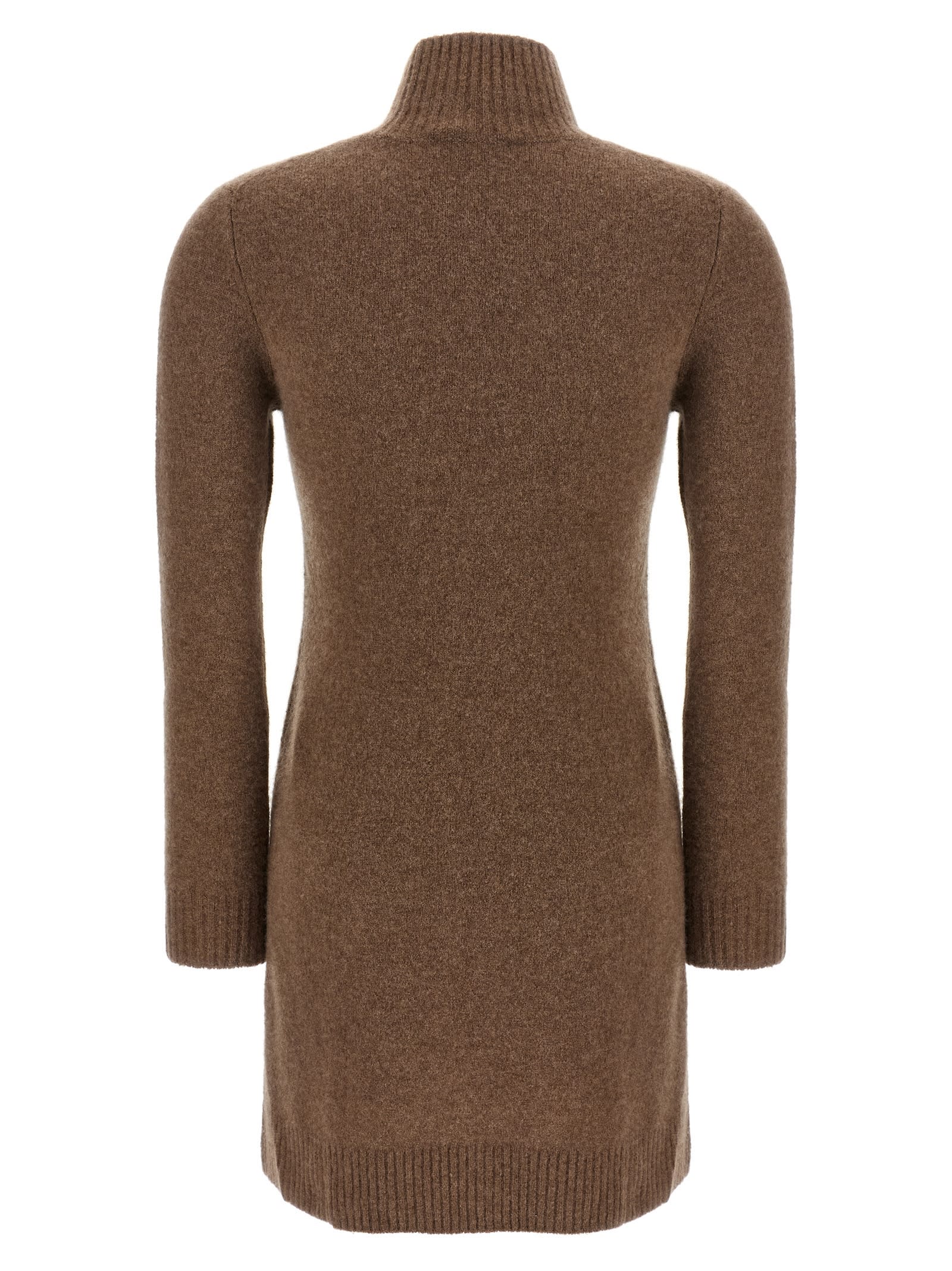 Max Mara Edison Turtleneck Mini Dress In Brown