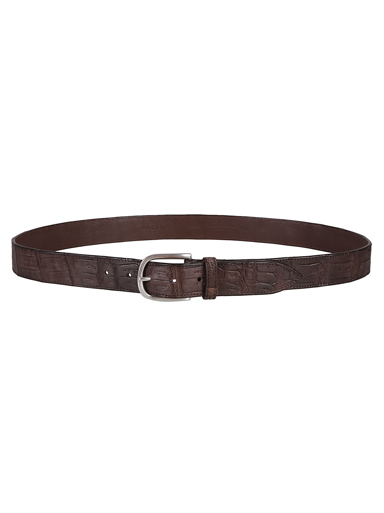 Shop Orciani Classic Belt In Eba Ebano