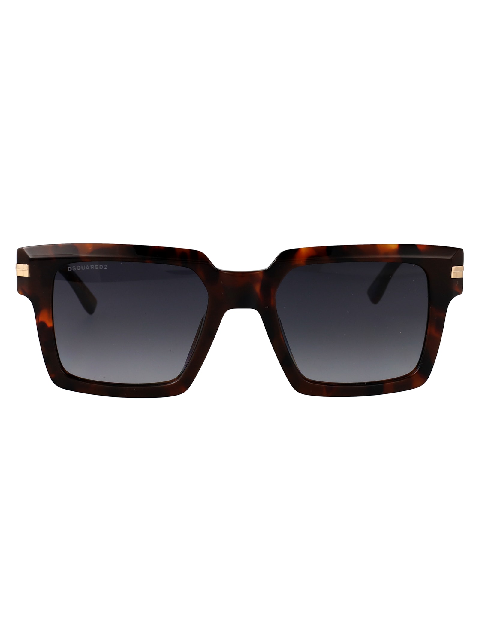 Dsquared2 D2 0161/g/s Sunglasses In Brown
