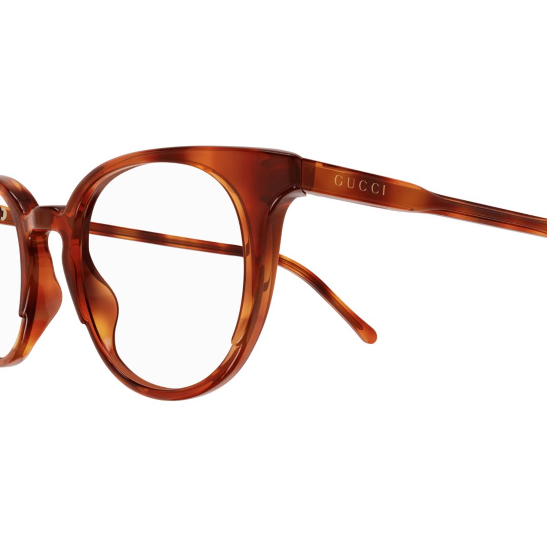Gucci Eyewear Gg1214o002 Havana Havana Transpa