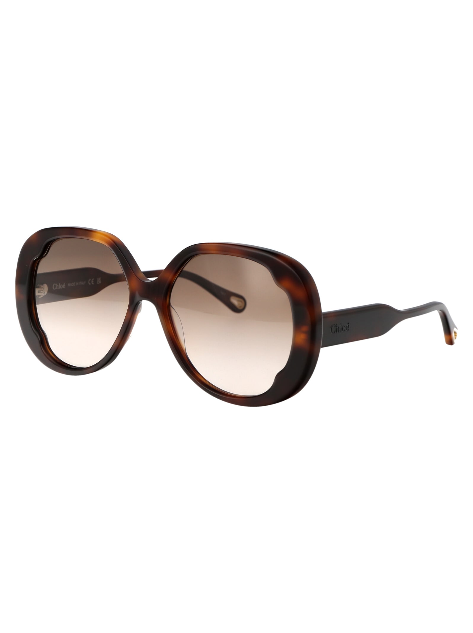 Shop Chloé Ch0195s Sunglasses In 002 Havana Havana Brown