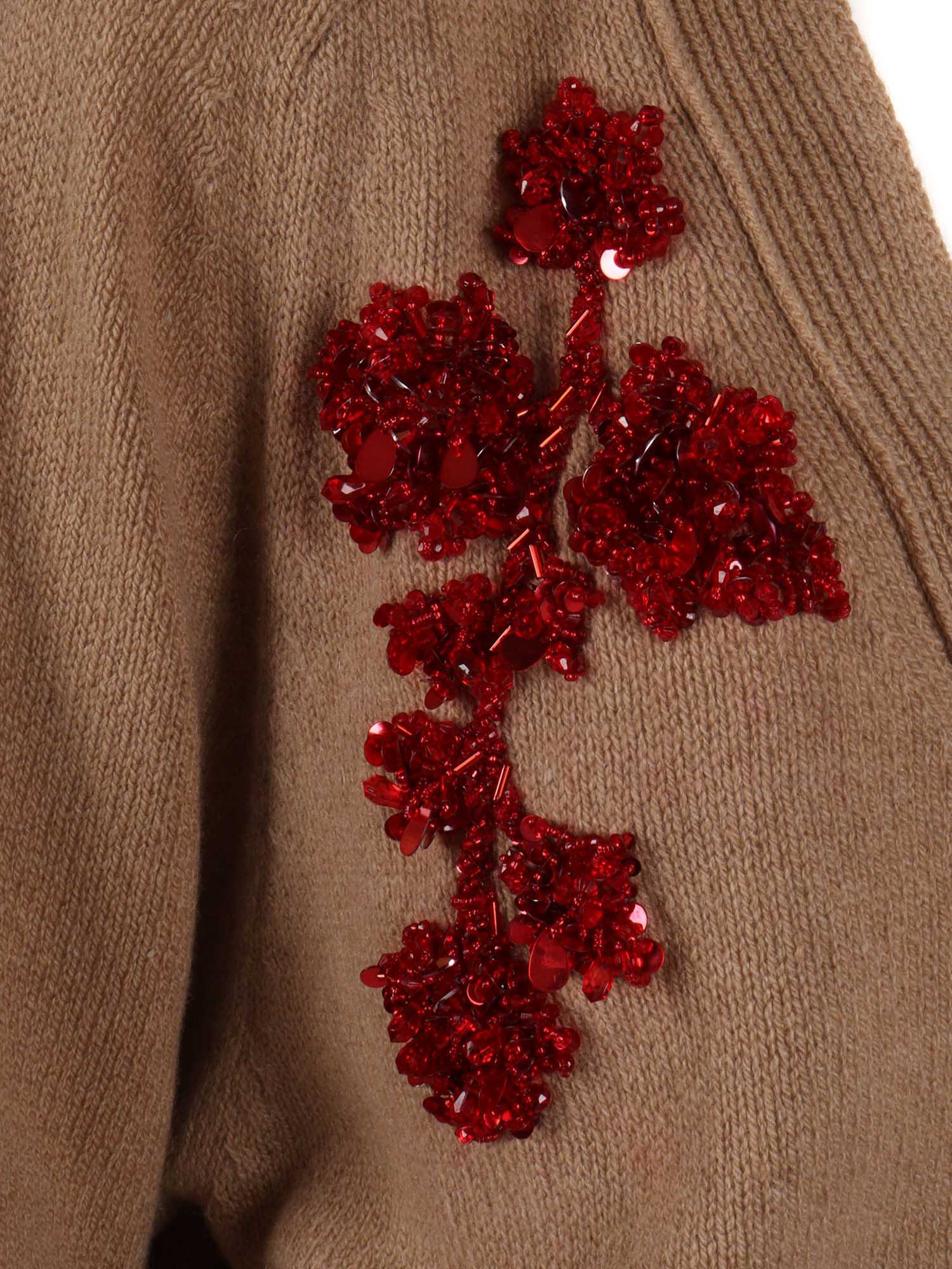 Alberta Ferretti Girocoll In Brown