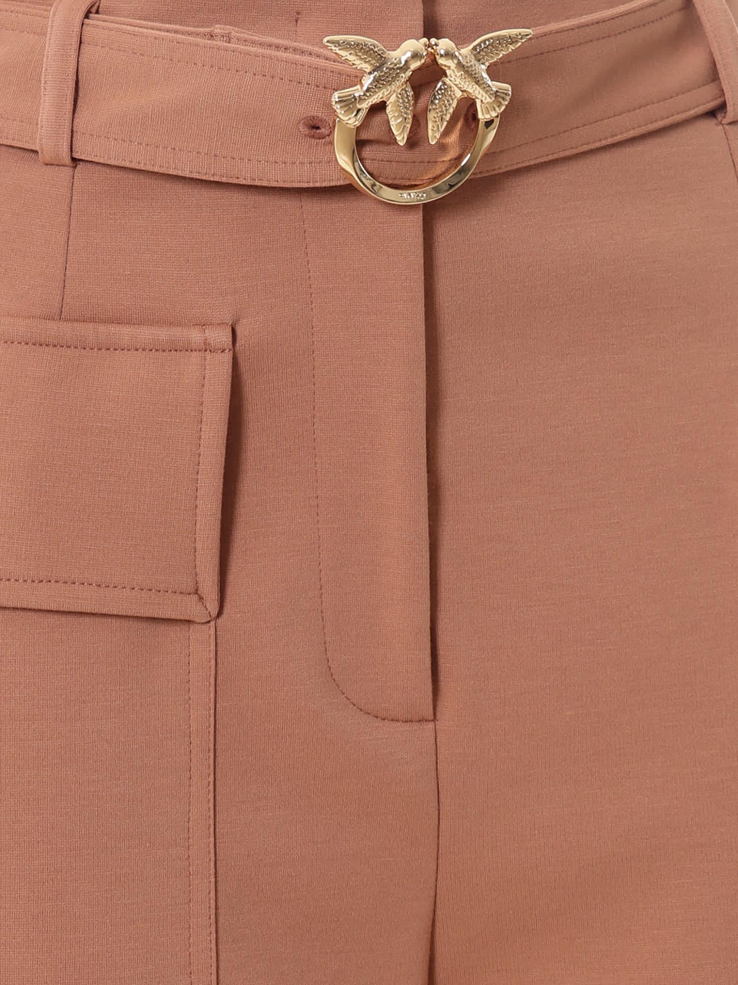 Shop Pinko Trouser In Mousse