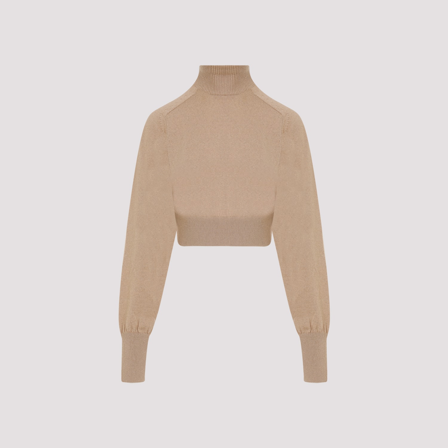 Shop Sportmax Ululato Top In Camel