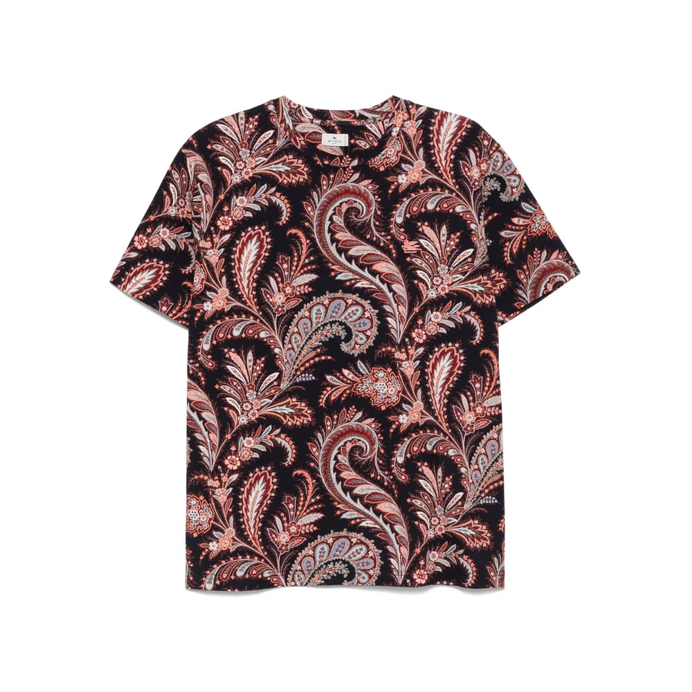 Etro T-shirt In Multi