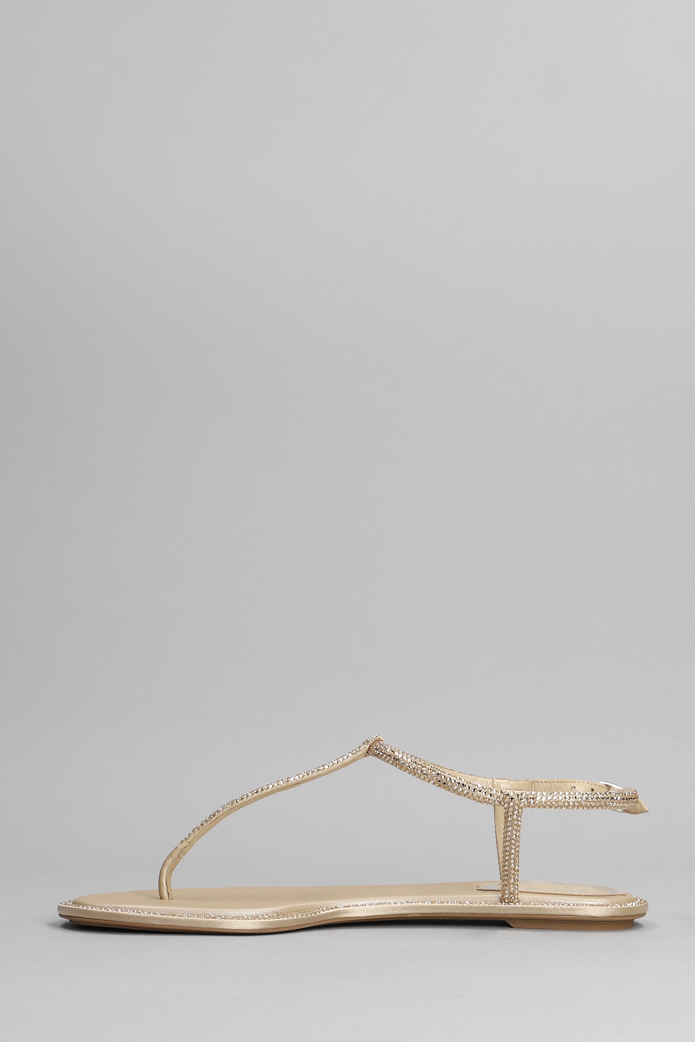 René Caovilla Renè Caovilla Diana Embellished Thong Sandals In Marrone