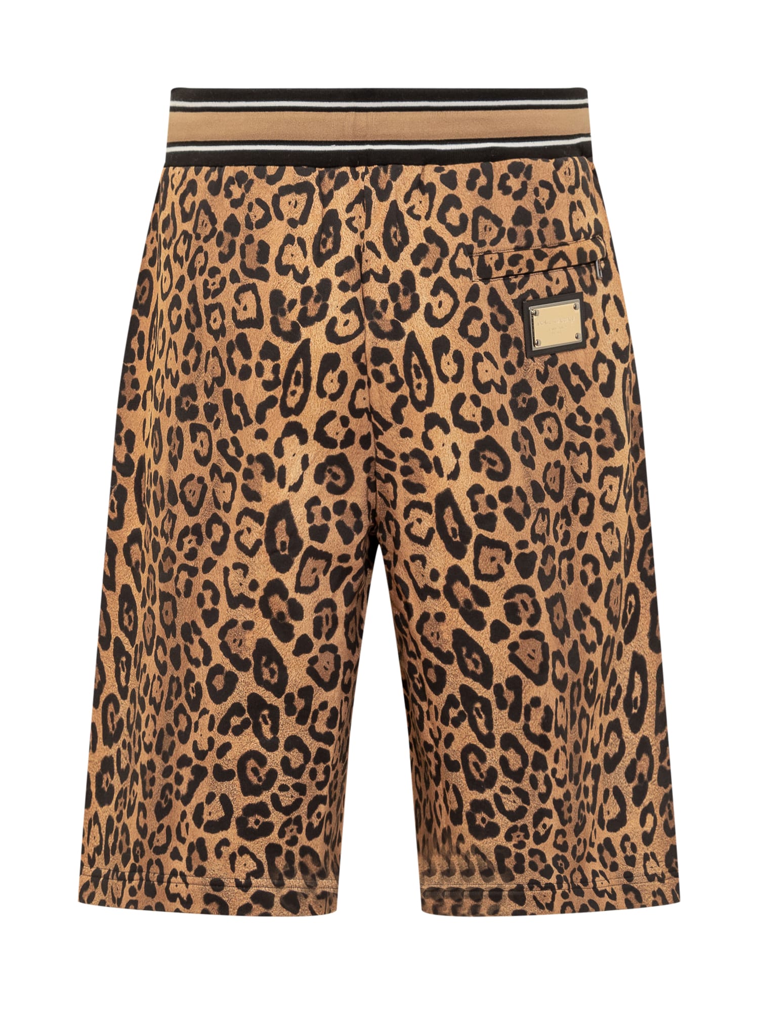 Shop Dolce & Gabbana Leo Shorts In Leo Ingrand Marrone