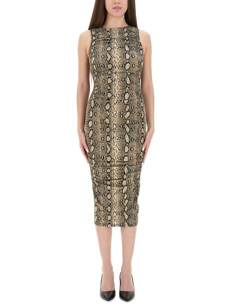 Animal Print Dress