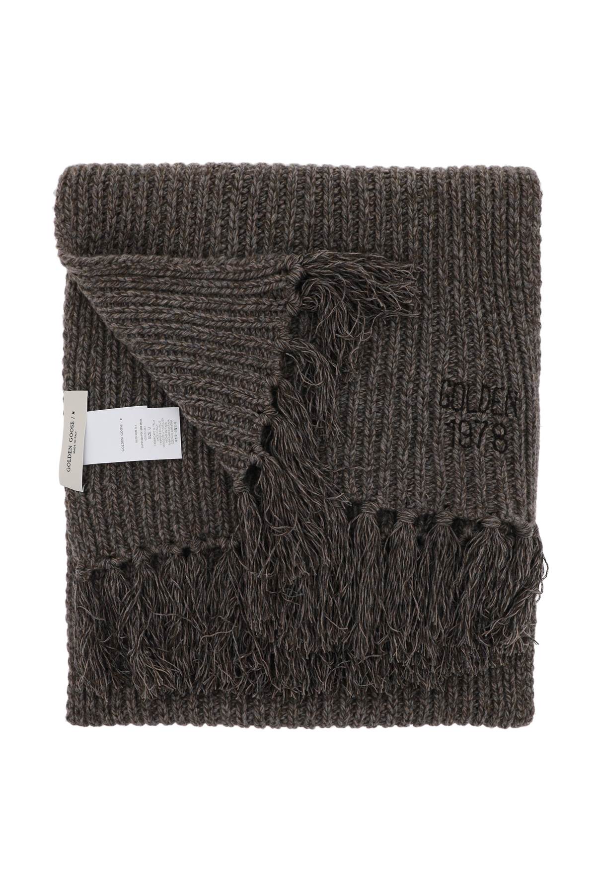 Shop Golden Goose Journey Wool And Cashmere Scarf In Ash Brown (brown)