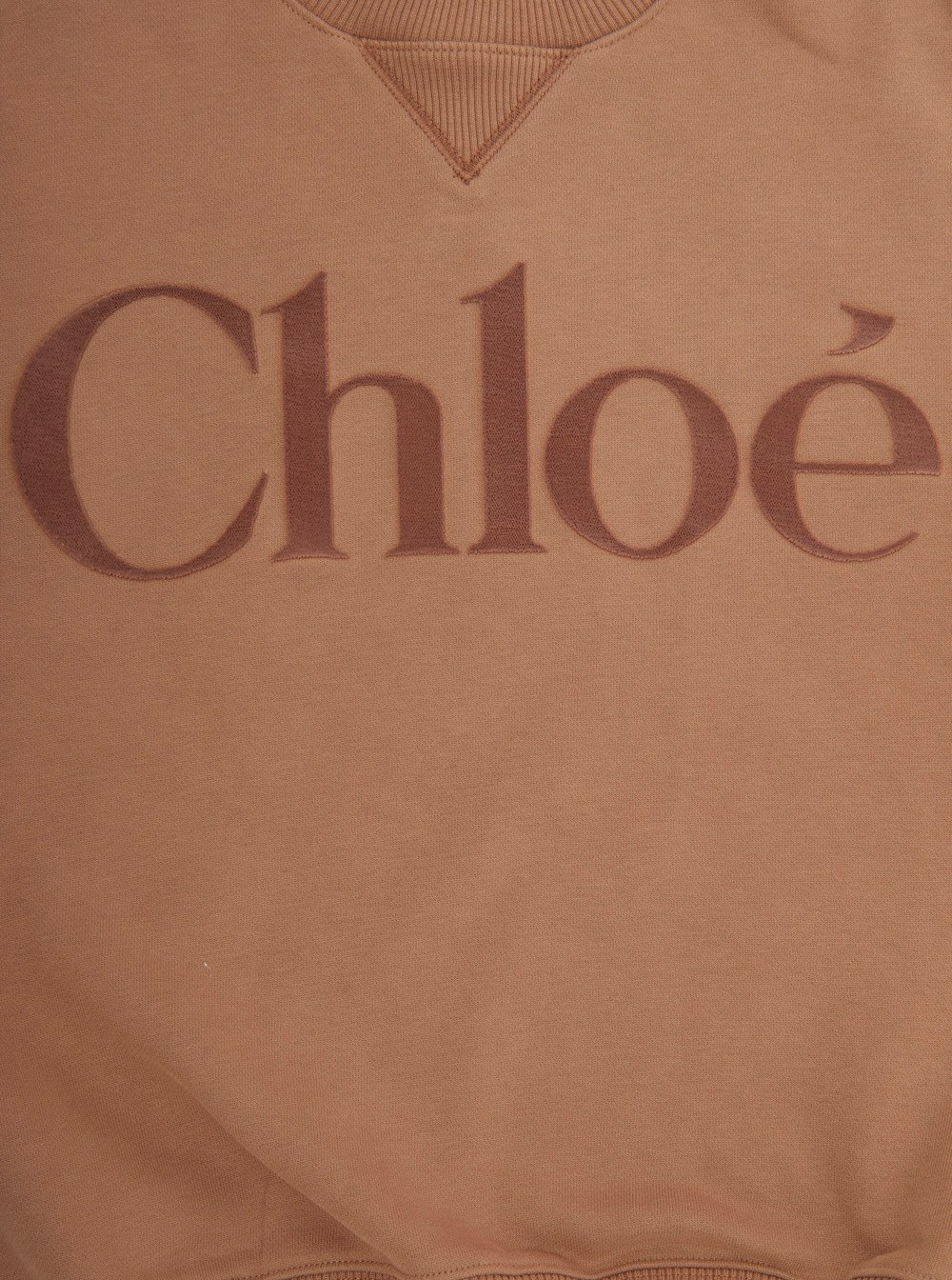 Chloé C2064931c In Brown