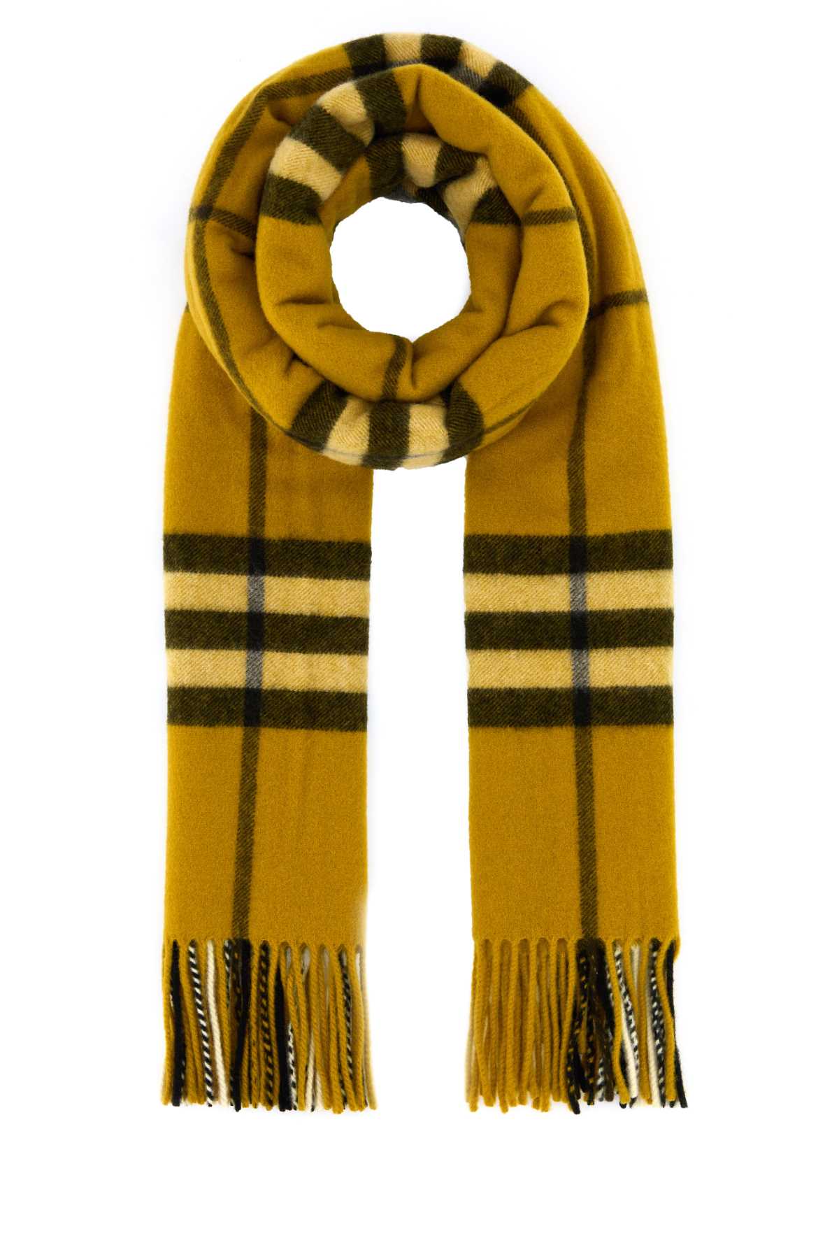 Shop Burberry Embroidered Cashmere Scarf In Teak