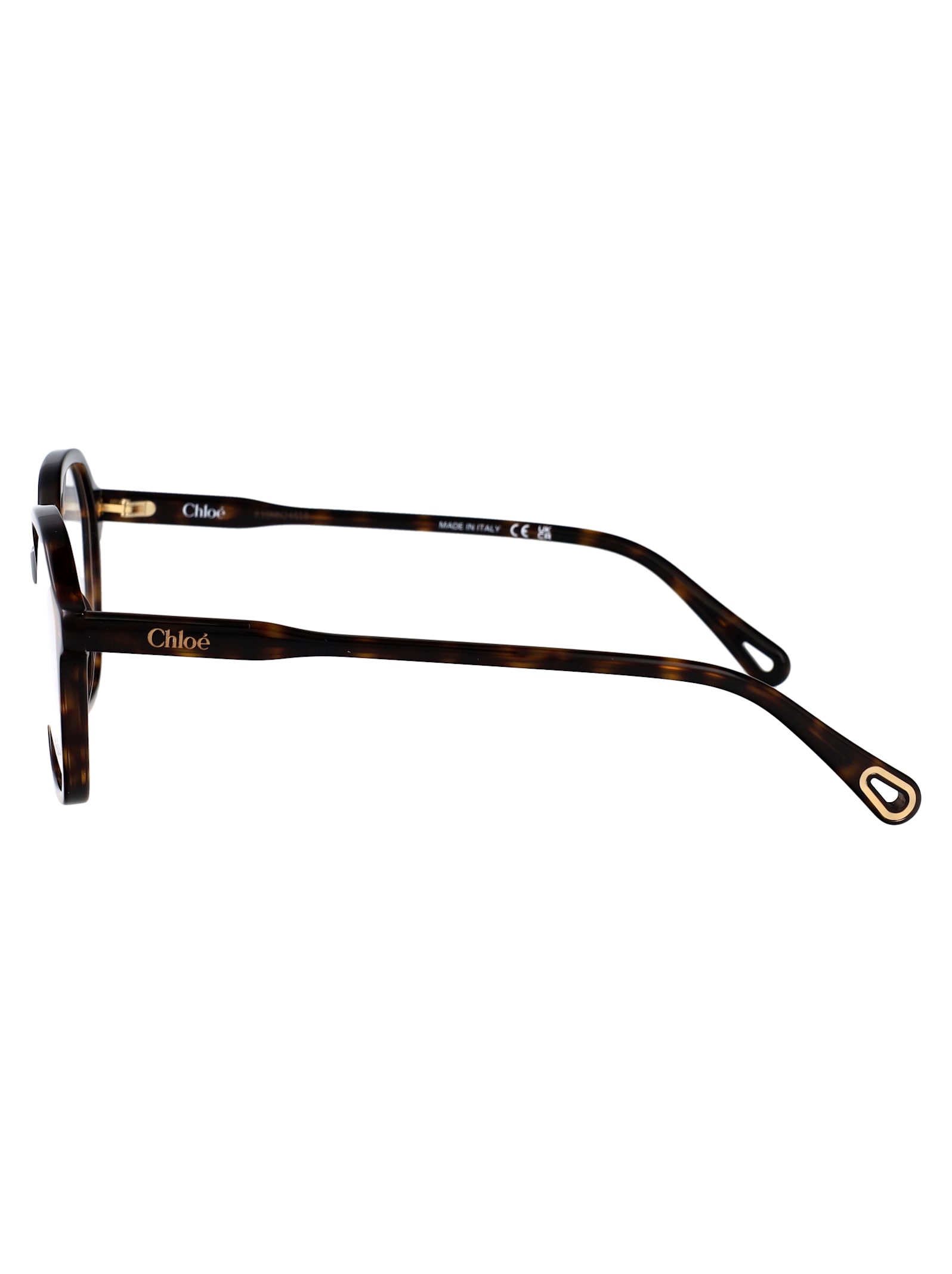 Chloé Ch0312o Glasses In Transparent