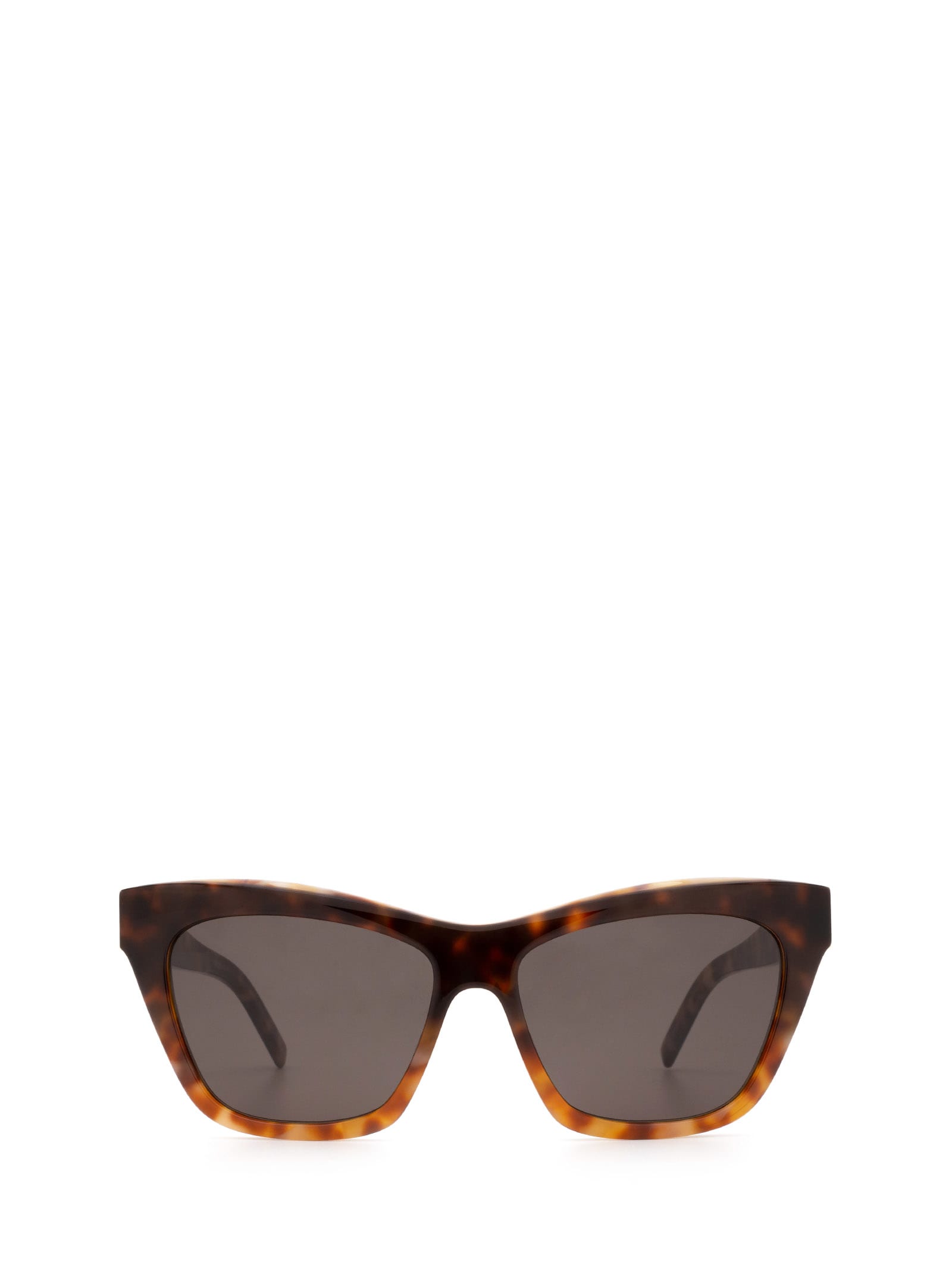 Saint Laurent Saint Laurent Sl M79 Havana Sunglasses