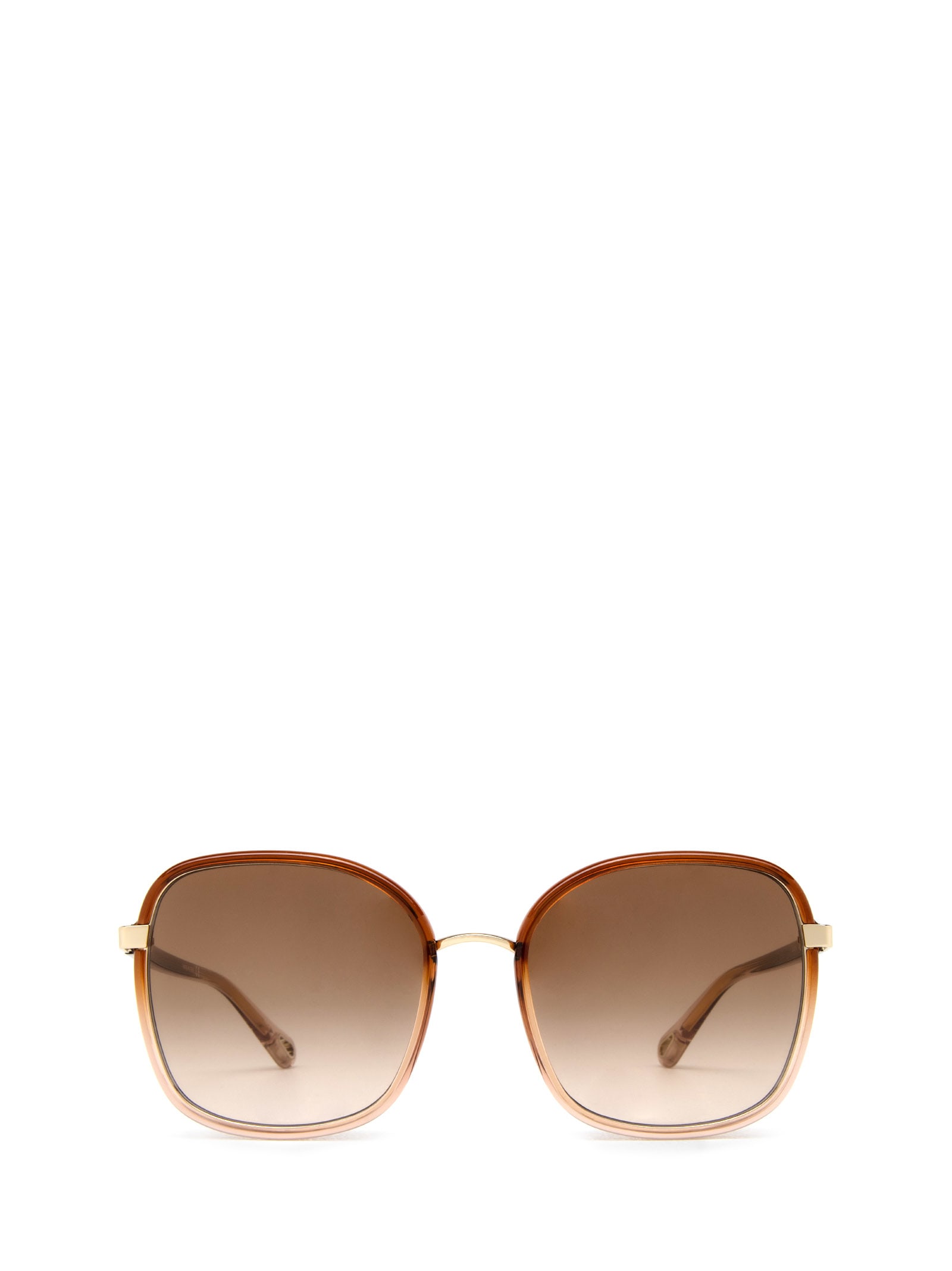 Chloé Ch0031s Brown Sunglasses