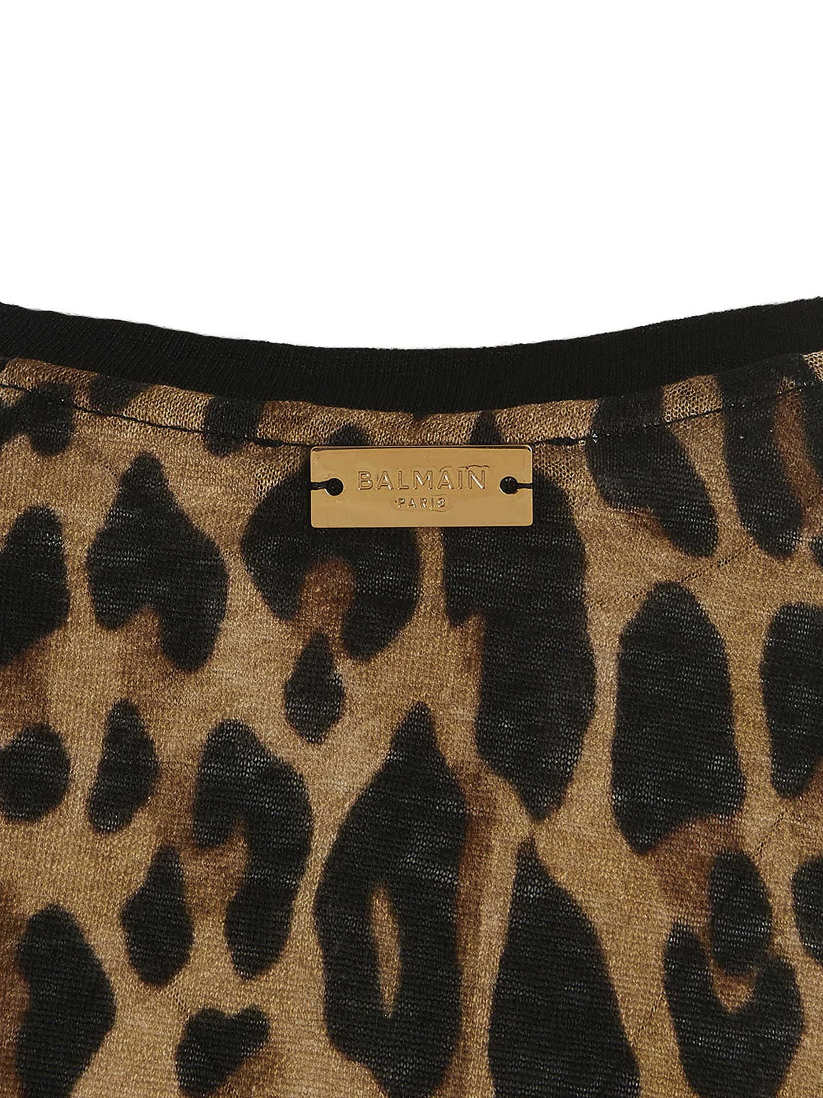 Shop Balmain Leopard T-shirt In Maculato
