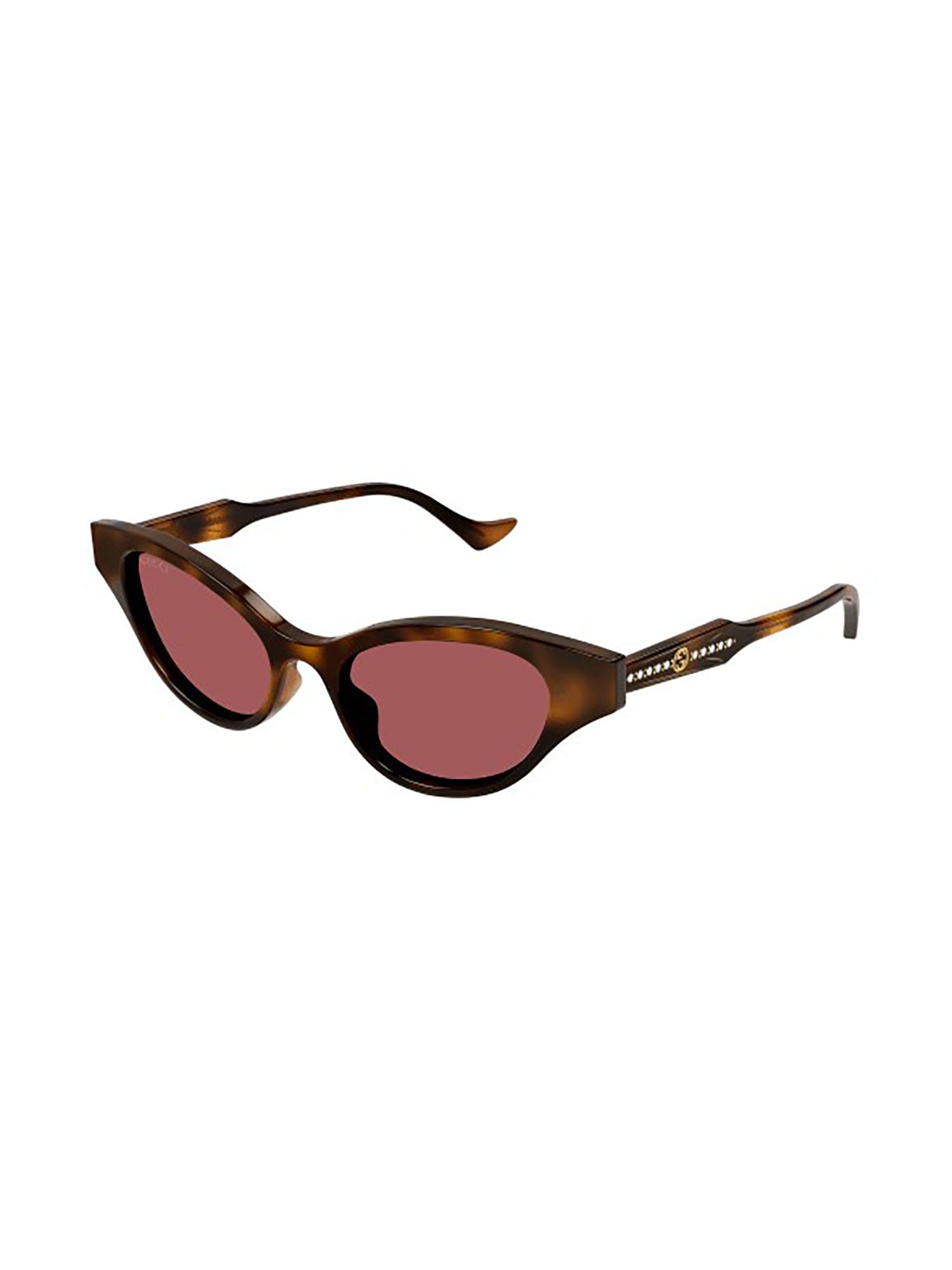 Shop Gucci Gg1298s Sunglasses In Havana-havana-brown