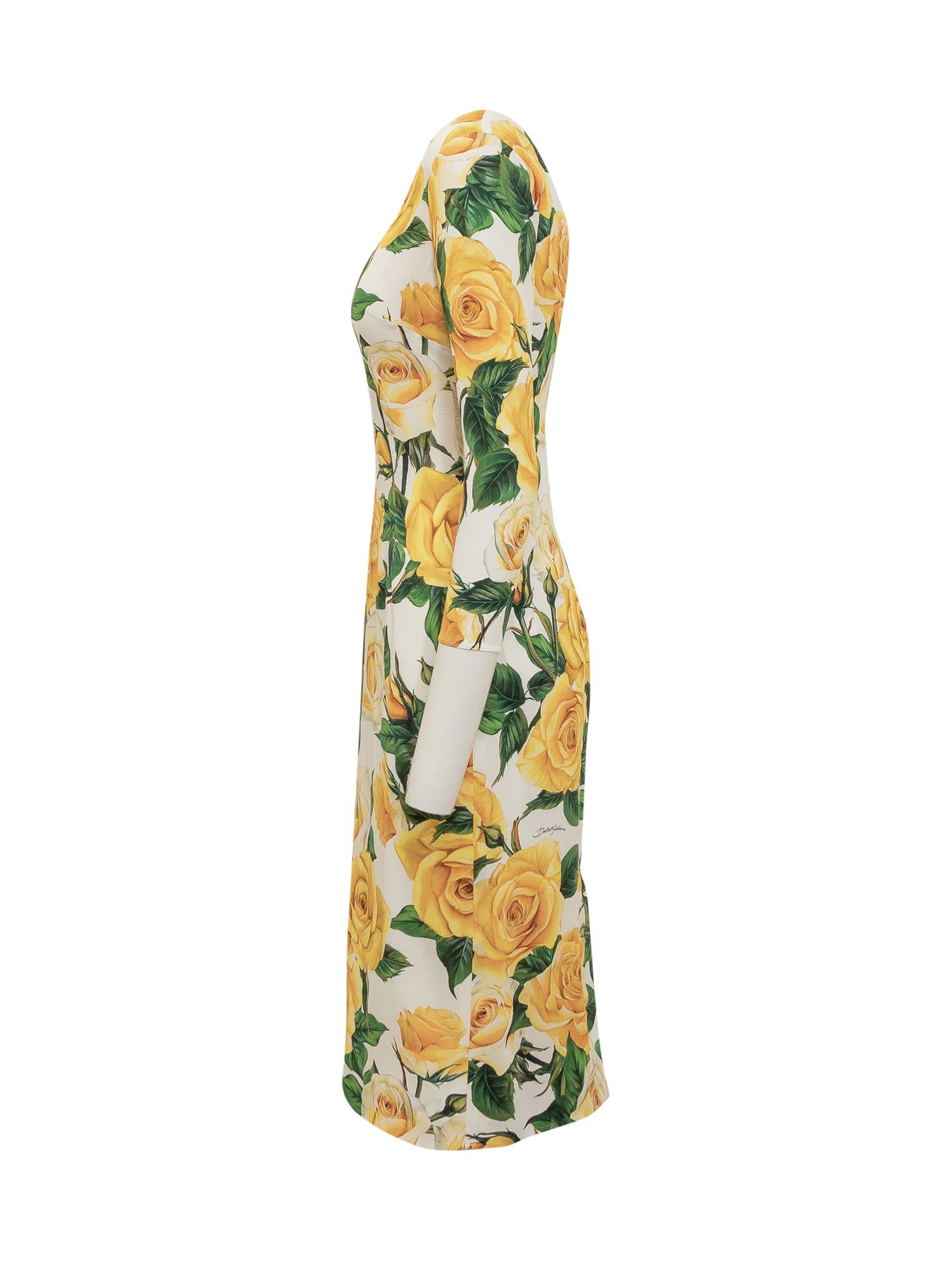 Shop Dolce & Gabbana Roses Yellow Dress In Rose Gialle Fdo Bco