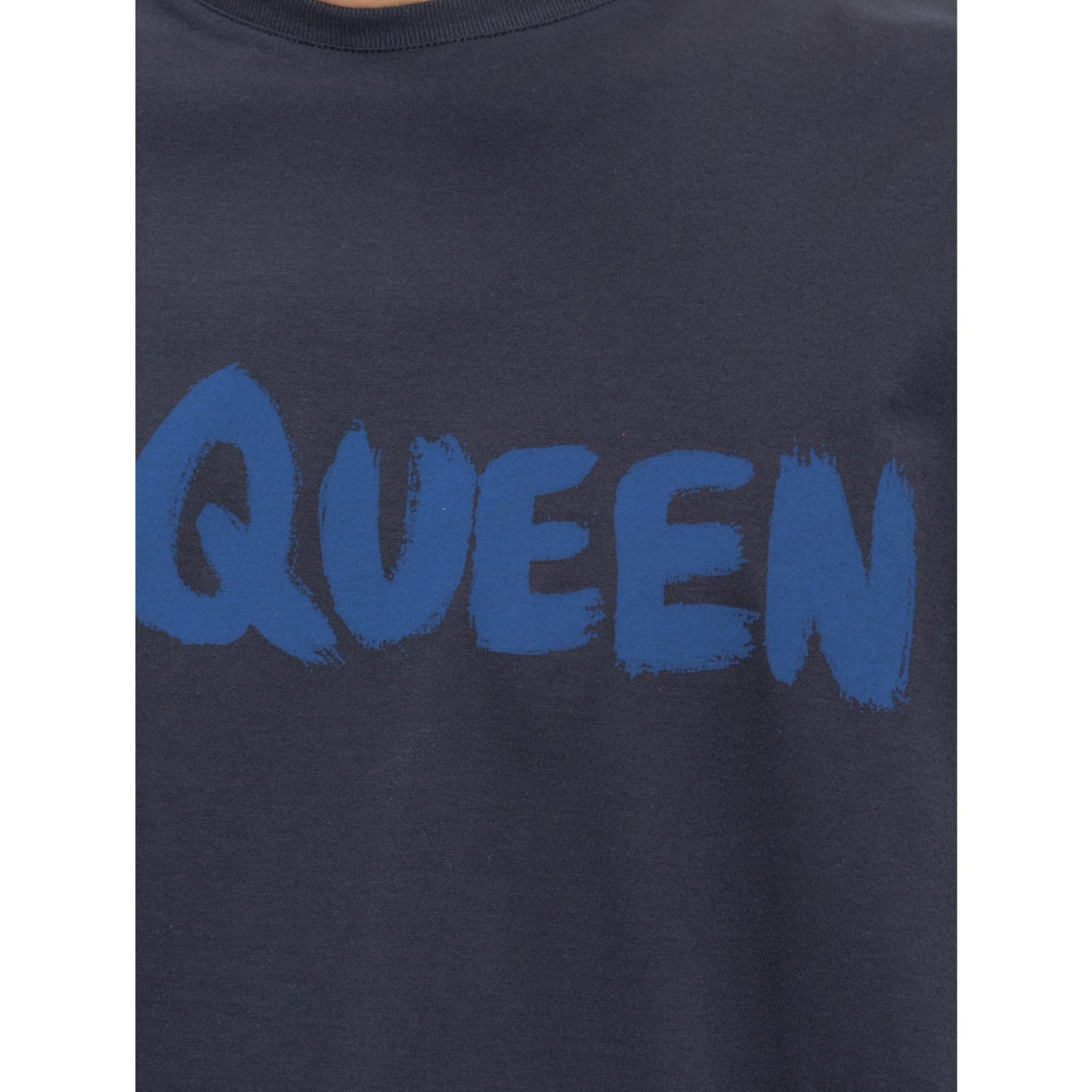 Shop Alexander Mcqueen Printed T-shirt In Blue