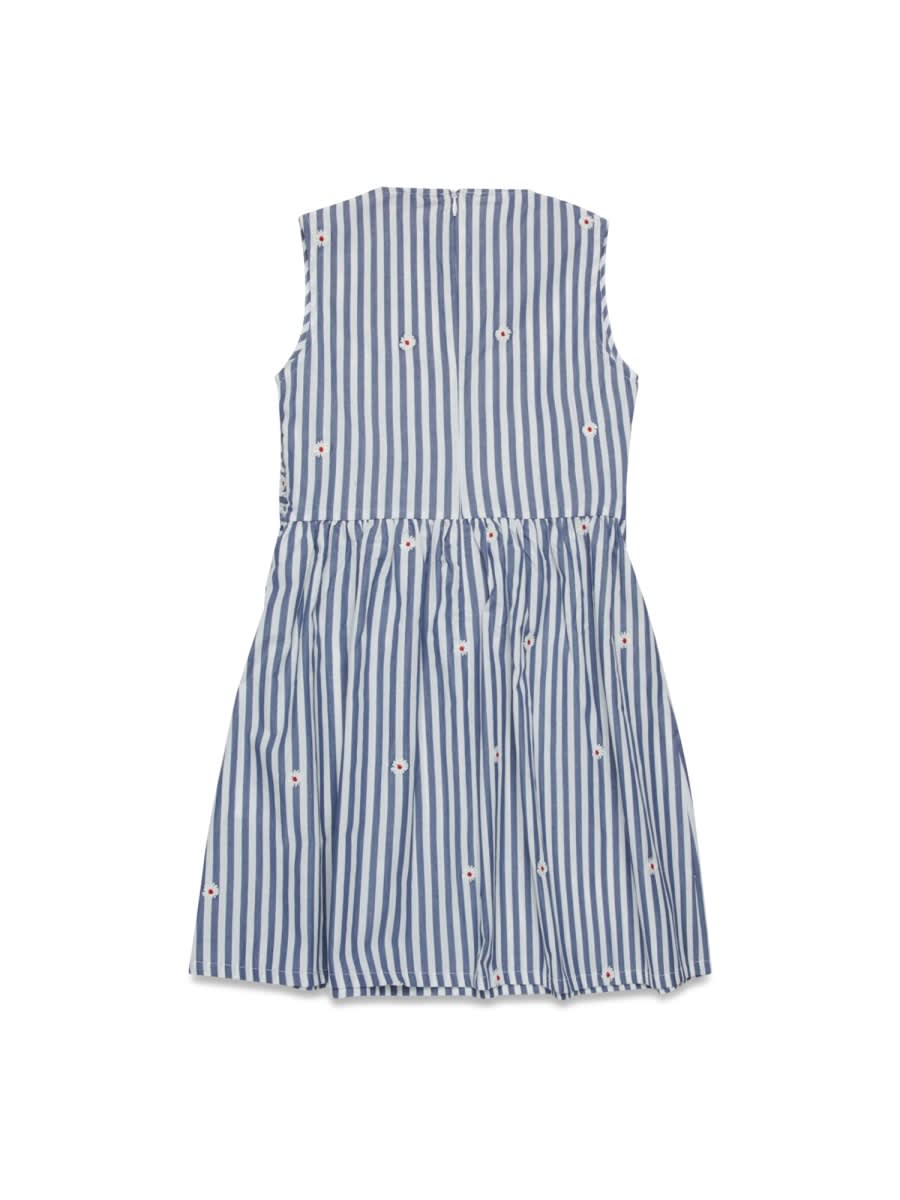 Shop Max&co. Dress In Multicolour