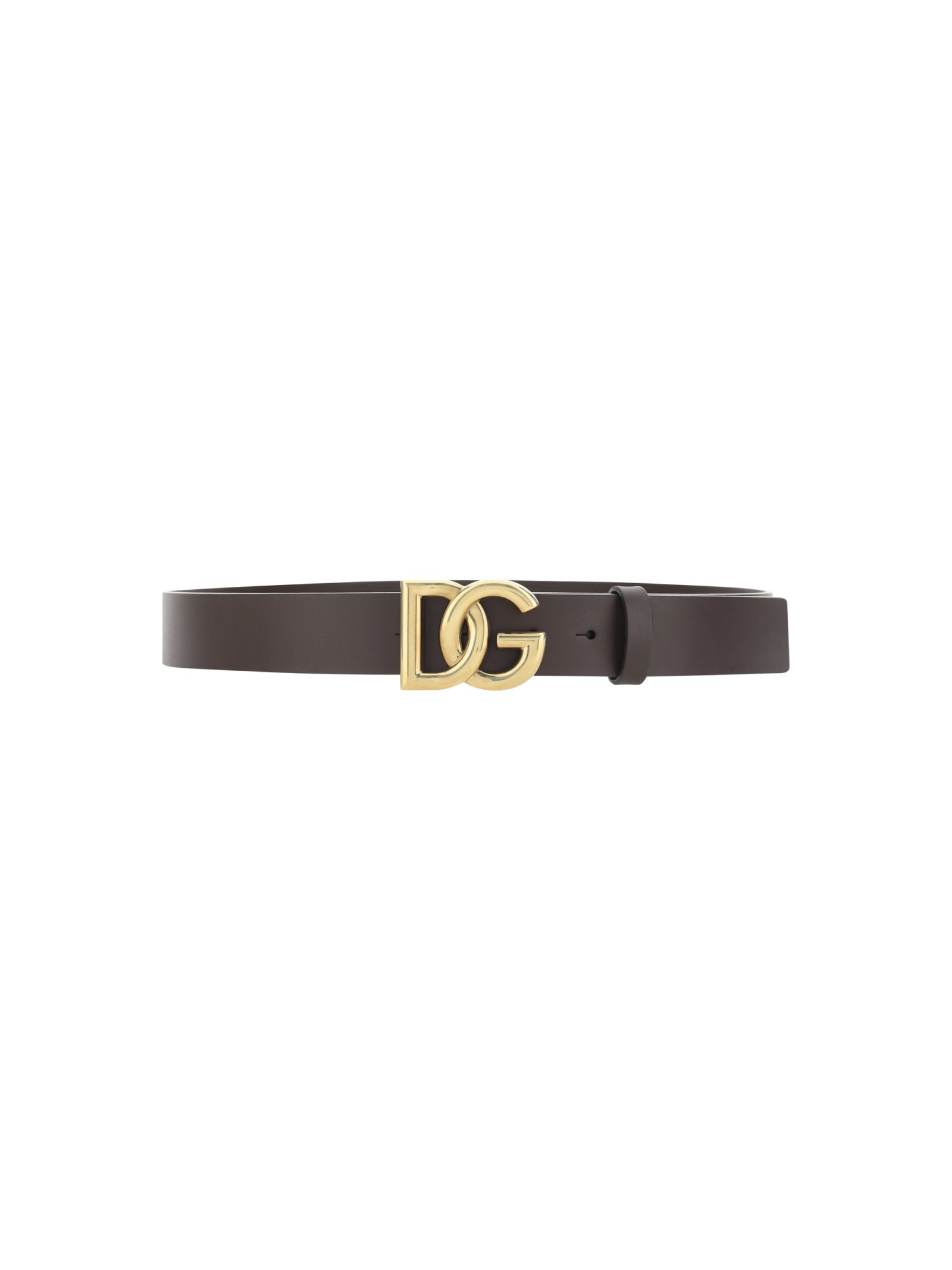 Shop Dolce & Gabbana Tosca Belt In Marrone