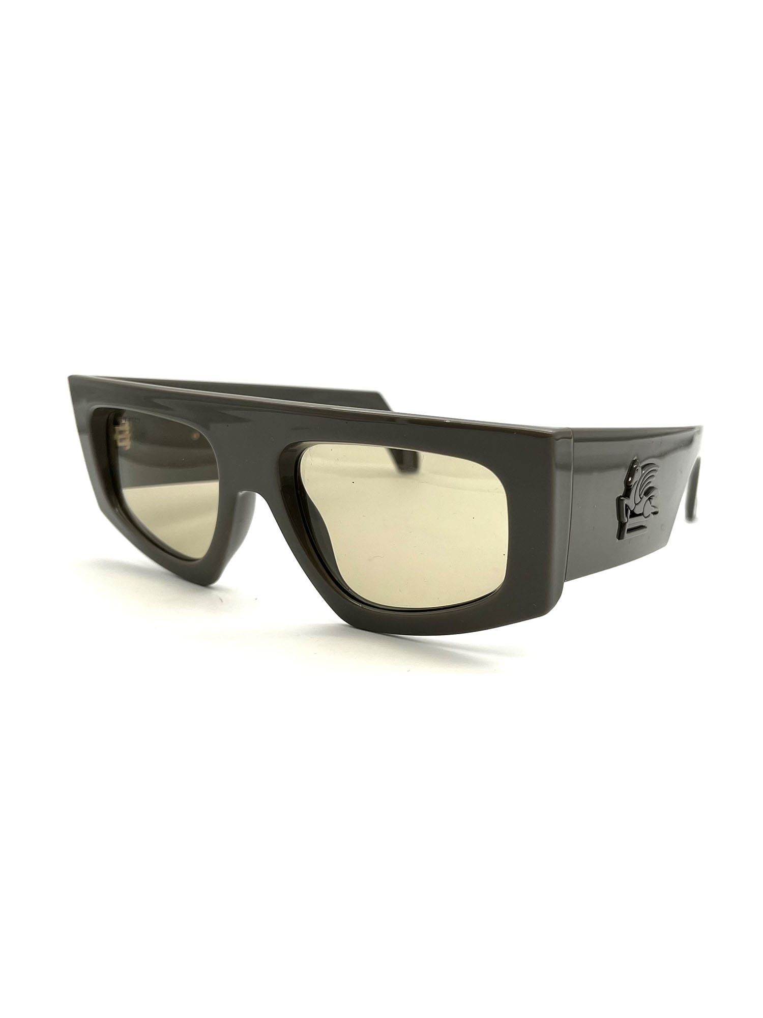 Shop Etro 0032/g/s Sunglasses In Mud