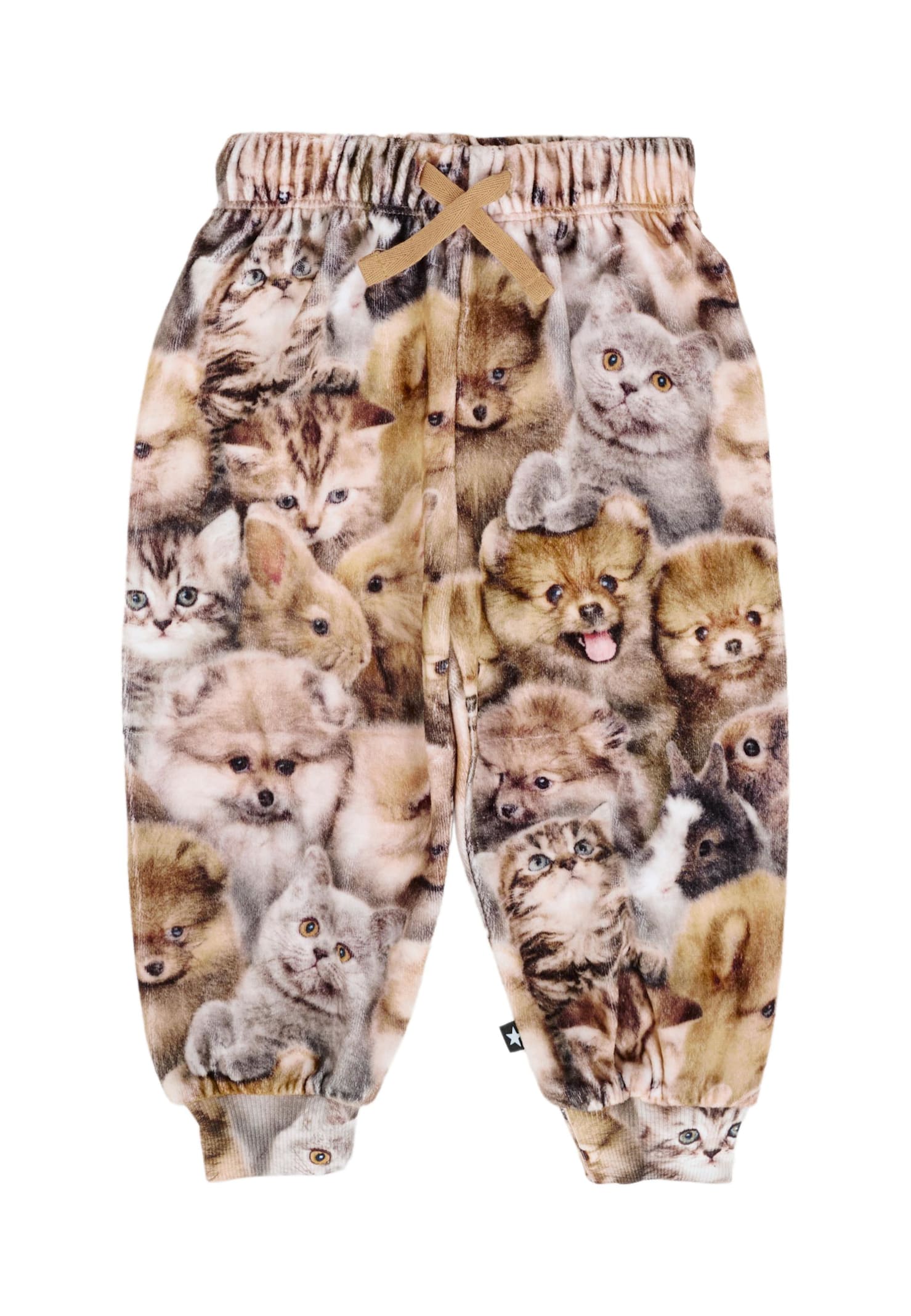 Molo Brown Trousers For Baby Girl With Animal Print In Brown