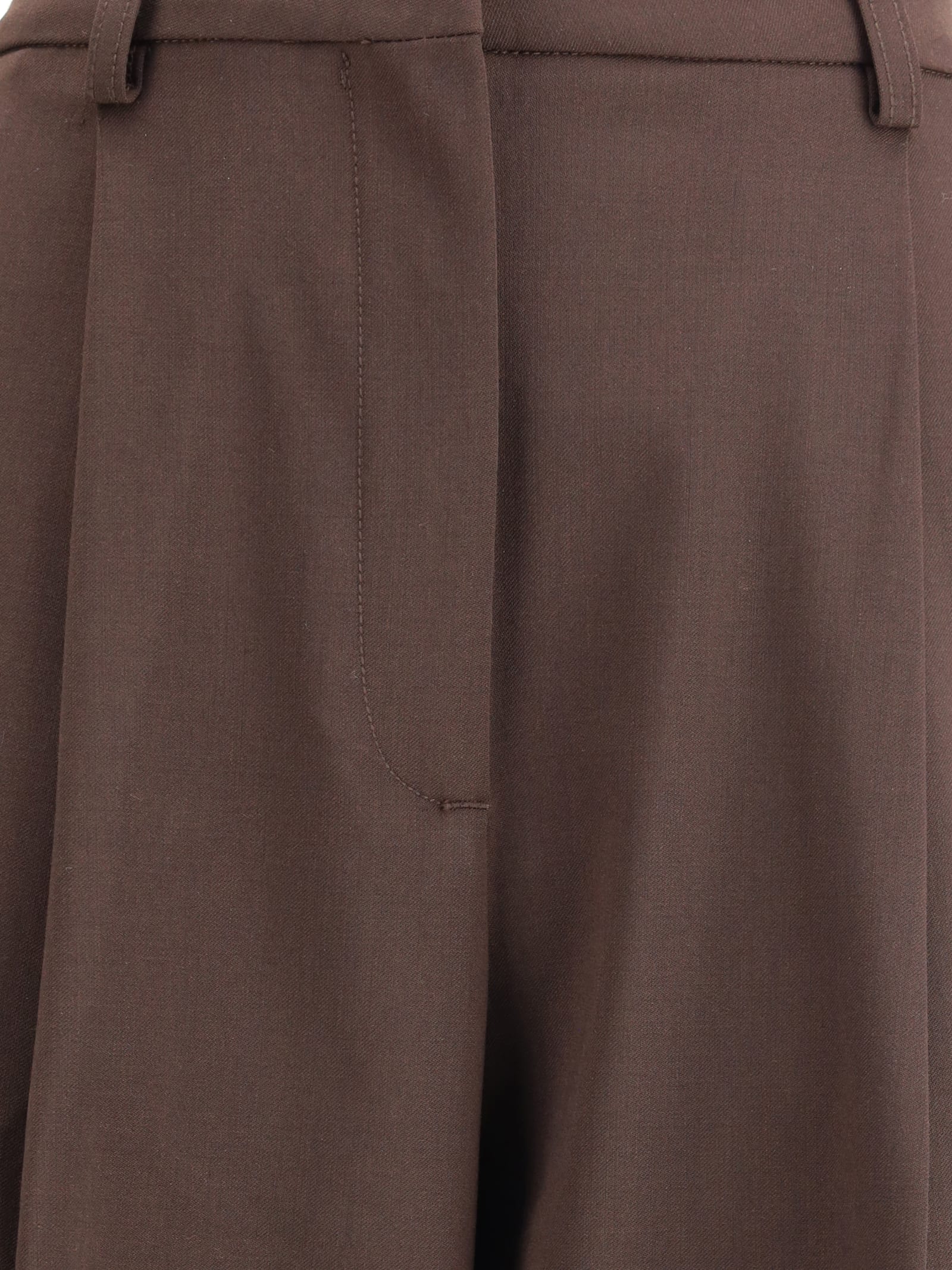 The Latest Pleated Pants In Brown