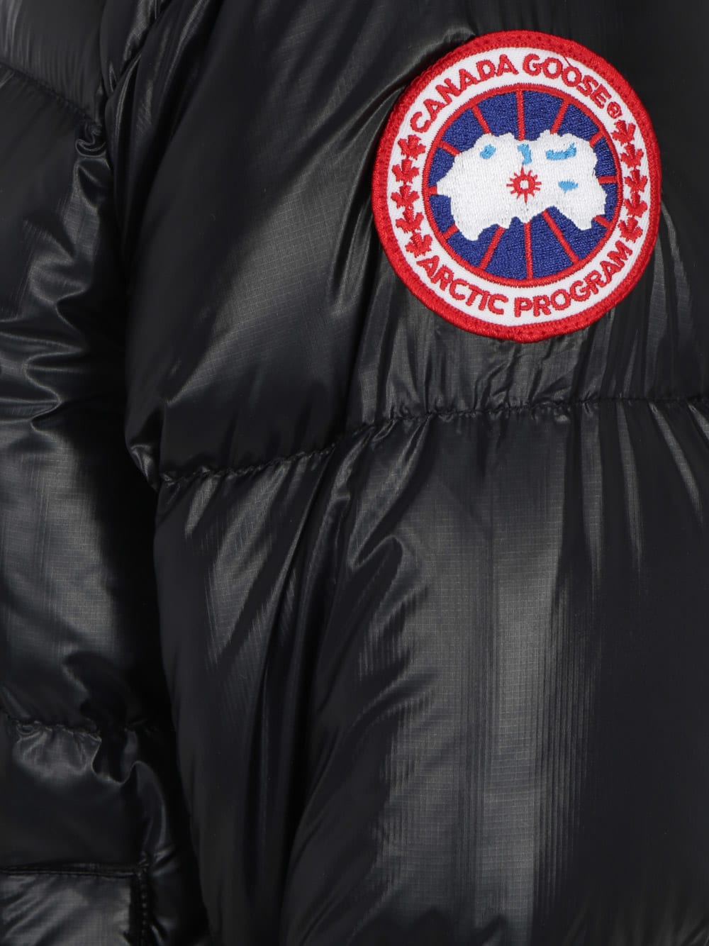 Shop Canada Goose Cypress Jacket In Black